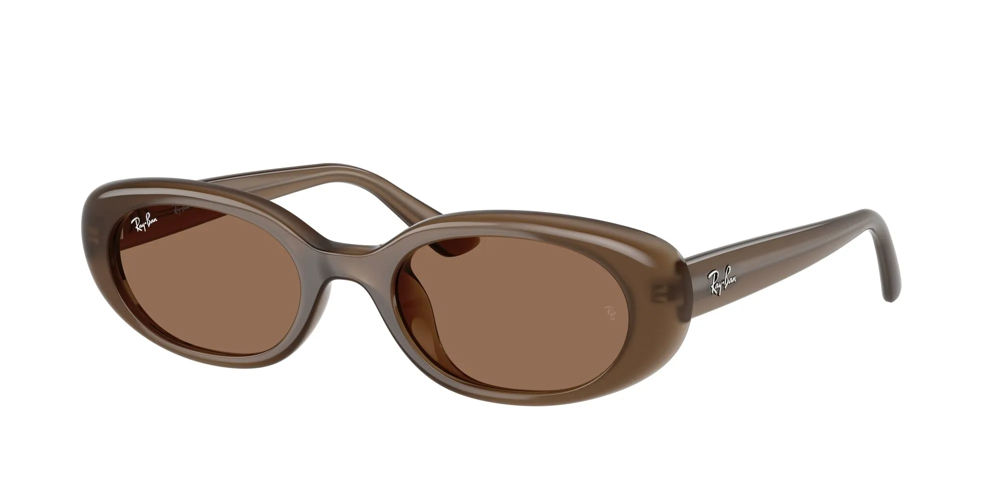 Ray - Ban RB4441D 677973 Occhiali da sole Iniettato Marrone Marrone Pillow Normale - immagine 1