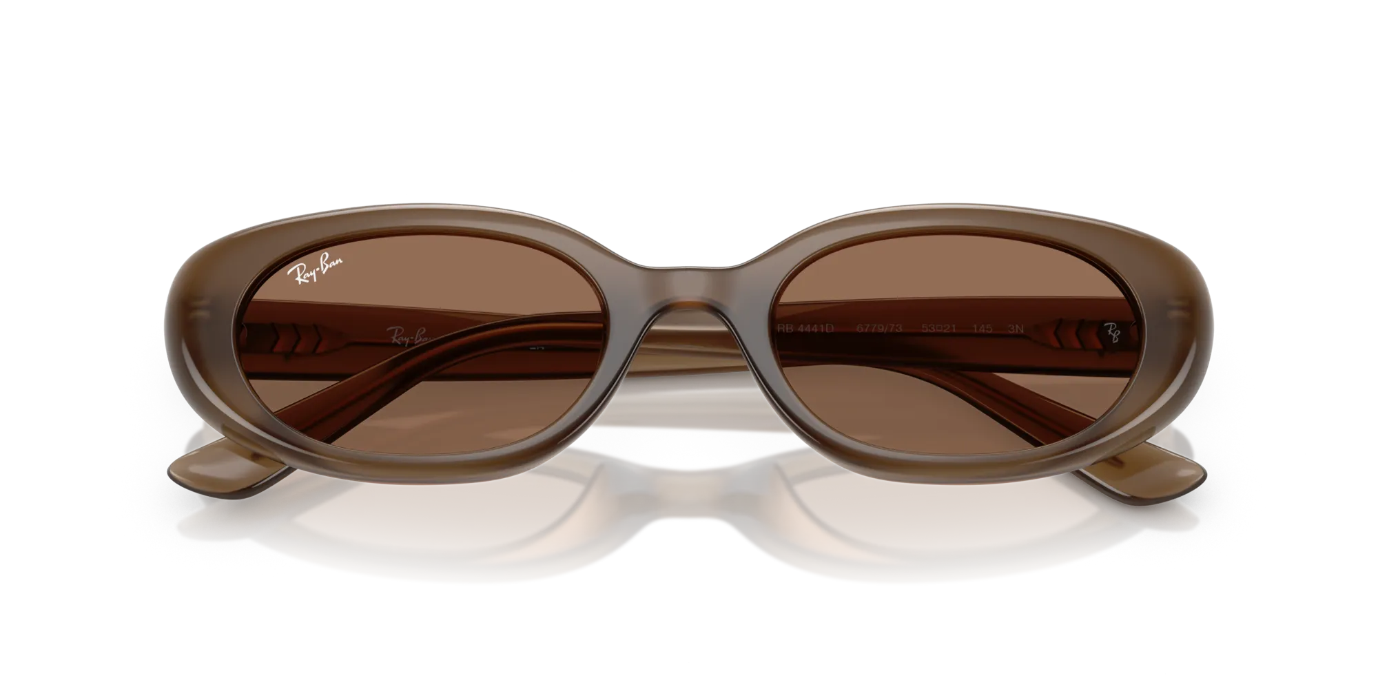 Ray - Ban RB4441D 677973 Occhiali da sole Iniettato Marrone Marrone Pillow Normale - immagine 2