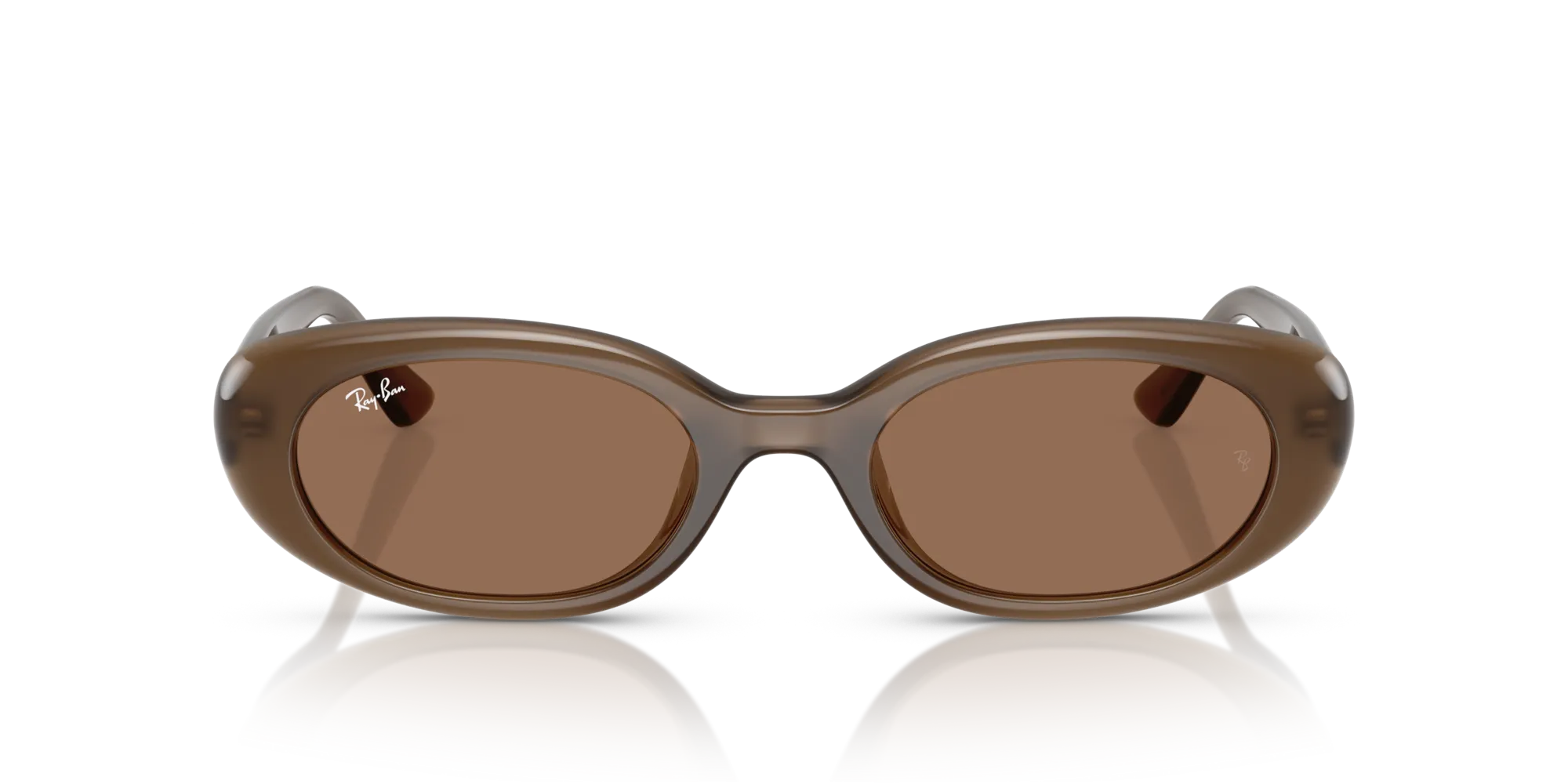 Ray - Ban RB4441D 677973 Occhiali da sole Iniettato Marrone Marrone Pillow Normale - immagine 3