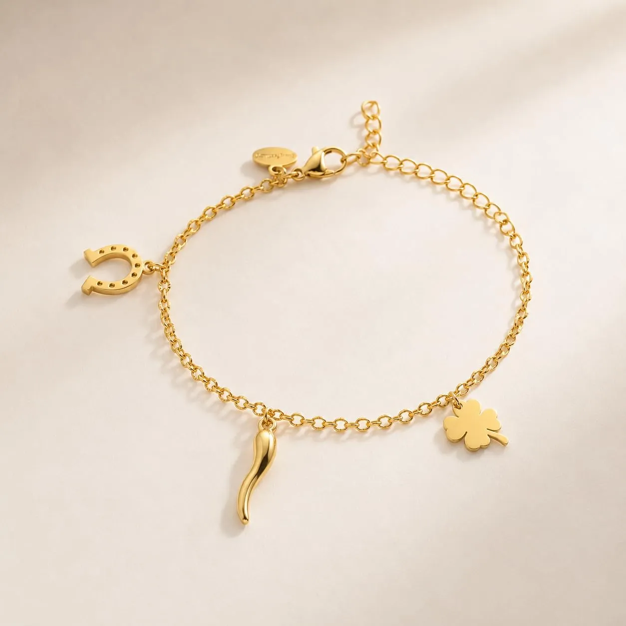 Louis Ciocchetti Bracciale in Acciaio con Corno Portafortuna – Bracciale Regolabile Uomo e Donna con Chiusura a Moschettone, Lunghezza 16 cm + 5 cm - immagine 3