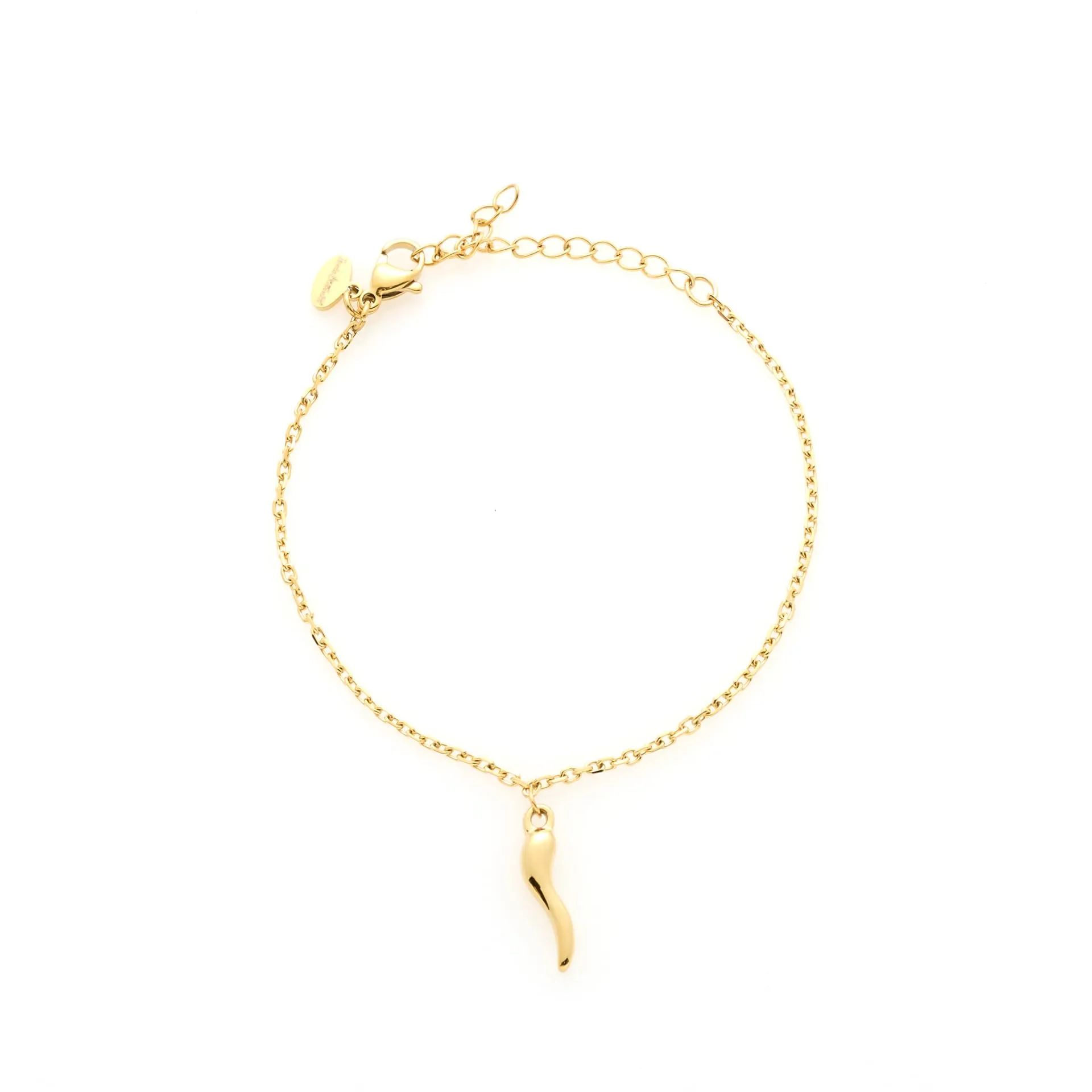 Louis Ciocchetti Bracciale in Acciaio con Corno Portafortuna – Bracciale Regolabile Uomo e Donna con Chiusura a Moschettone, Lunghezza 16 cm + 5 cm - immagine 1