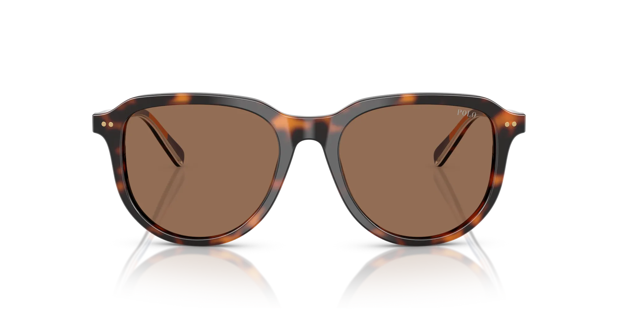 Polo Ralph Lauren PH4225 613773 Occhiali da sole Acetato Tartaruga Marrone Pilot Normale - immagine 3