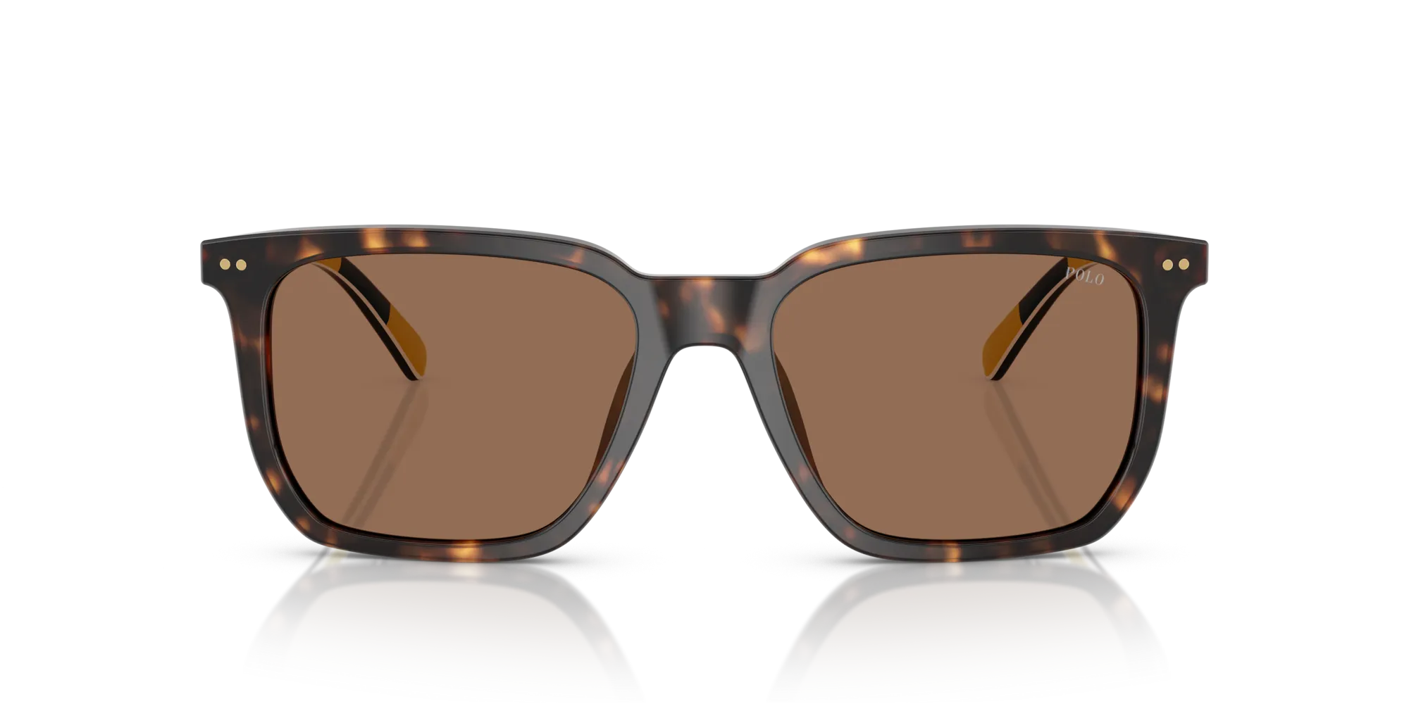 Polo Ralph Lauren PH4224U 500373 Occhiali da sole Acetato Tartaruga Marrone Squadrata Normale - immagine 3