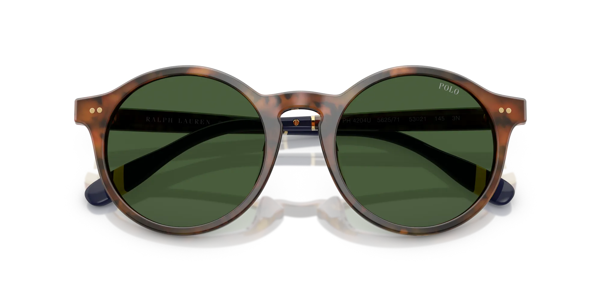 Polo Ralph Lauren PH4204U 562571 Occhiali da sole Acetato Tartaruga Verde Pantos Normale - immagine 2