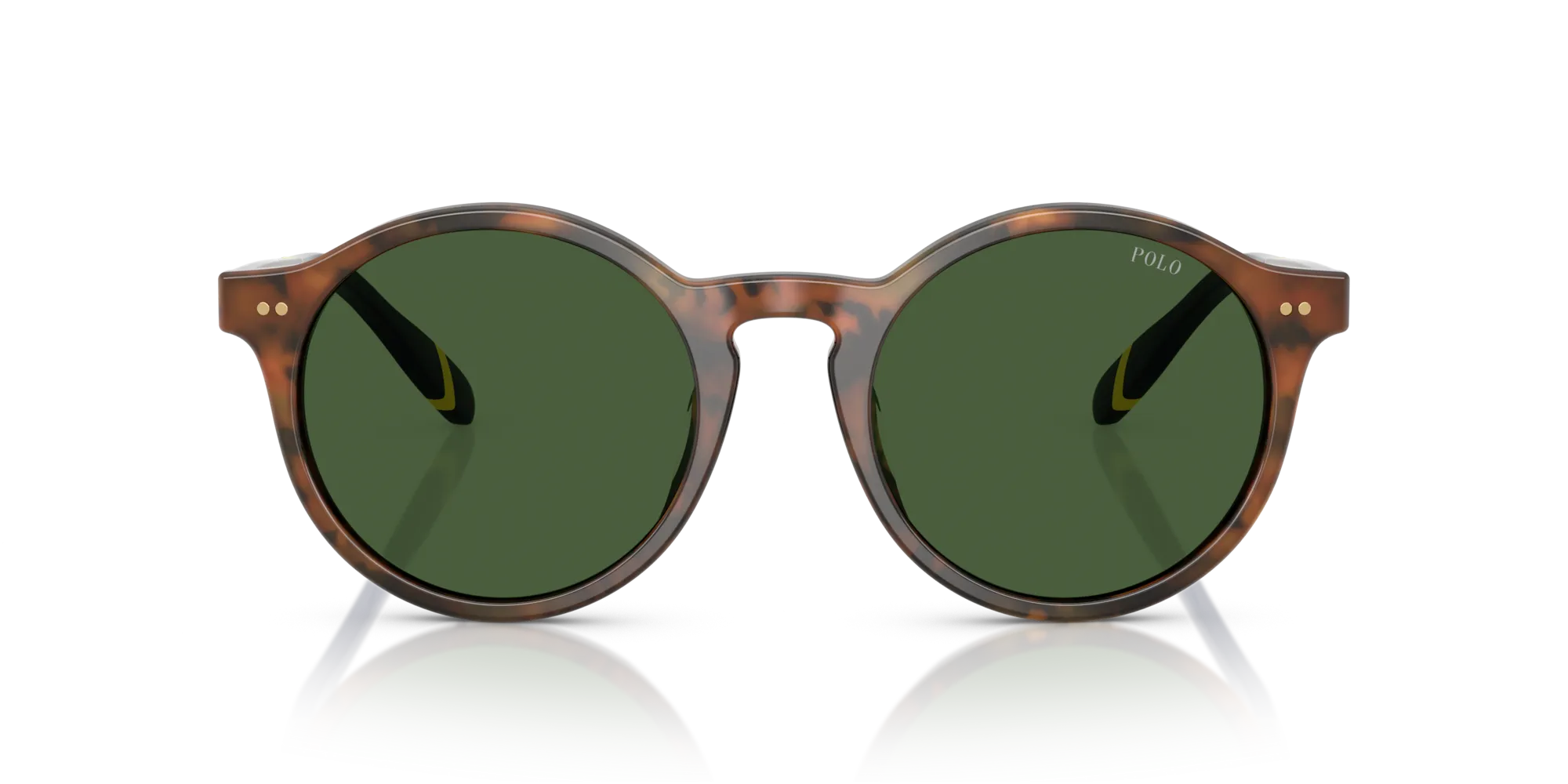 Polo Ralph Lauren PH4204U 562571 Occhiali da sole Acetato Tartaruga Verde Pantos Normale - immagine 3