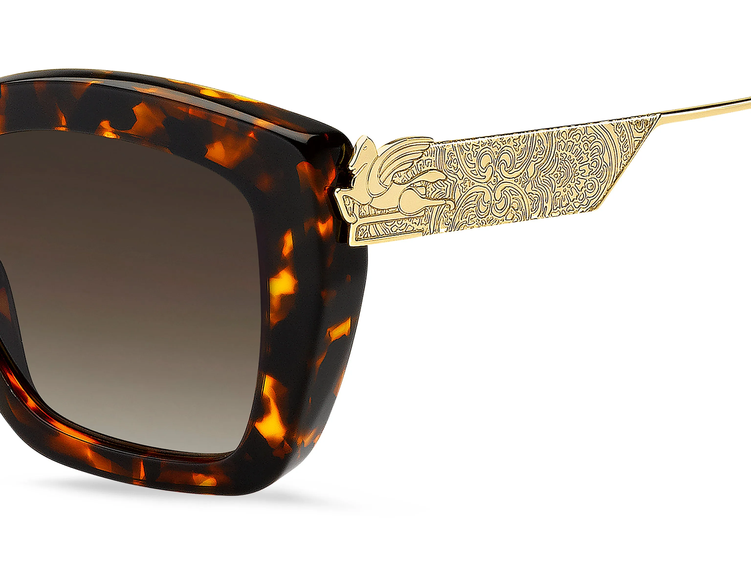 ETRO ETRO ETRO 0039/G/S 086/HA Occhiali da sole Marrone Sfumato - immagine 3