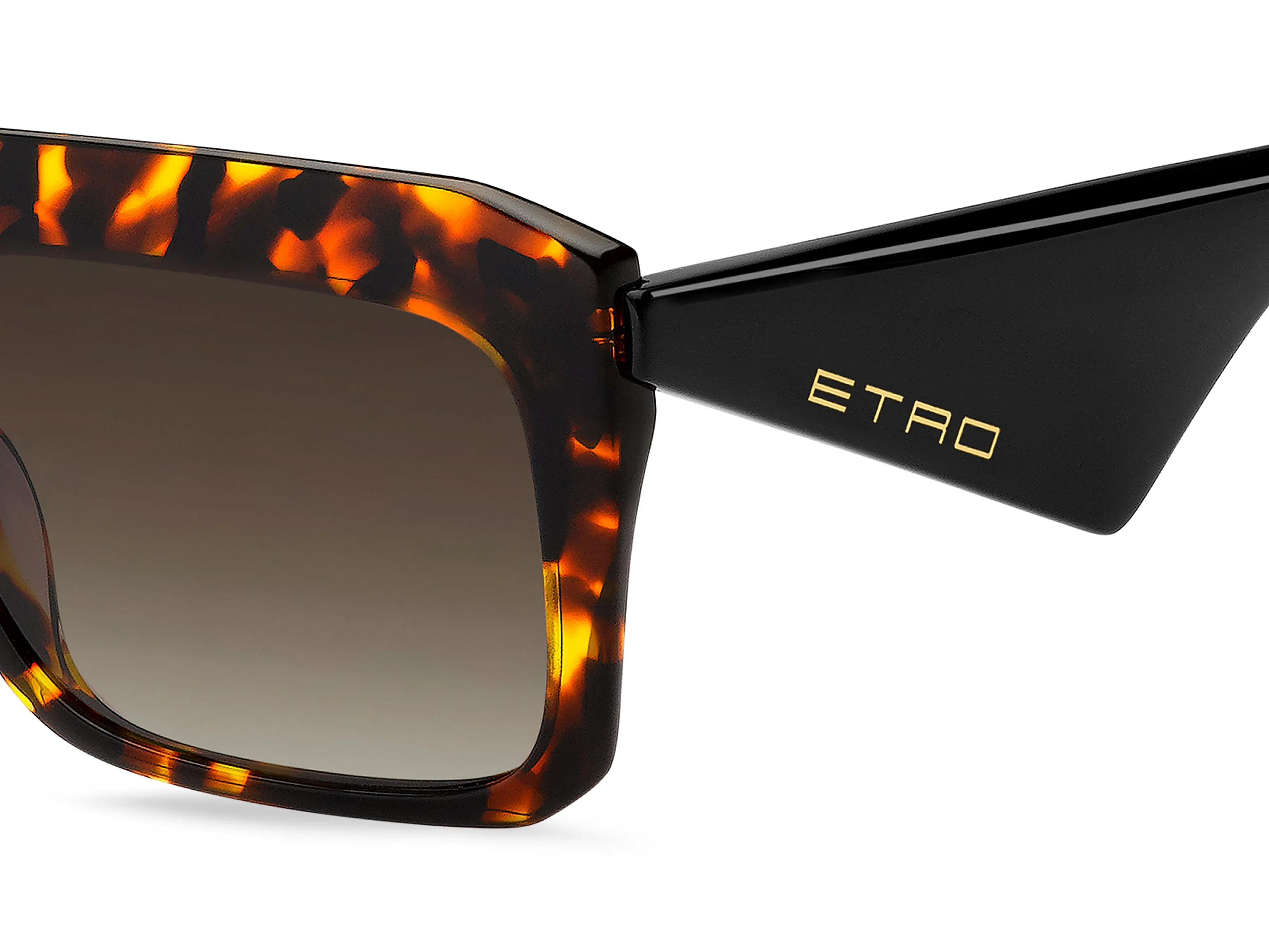 ETRO ETRO ETRO 0045/G/S 086/HA Occhiali da sole Marrone Sfumato - immagine 3