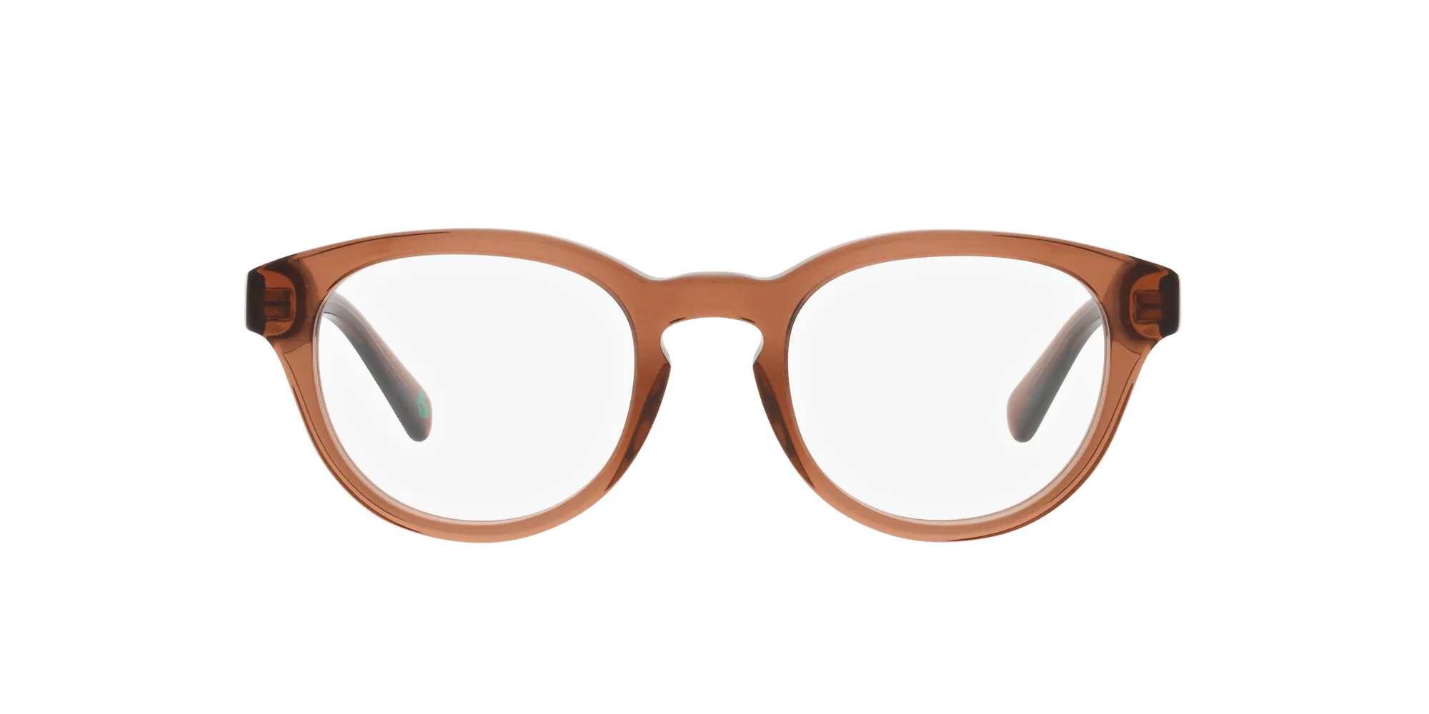 Polo Ralph Lauren PH2262 L6086 Montature da vista Acetato Pantos - immagine 2
