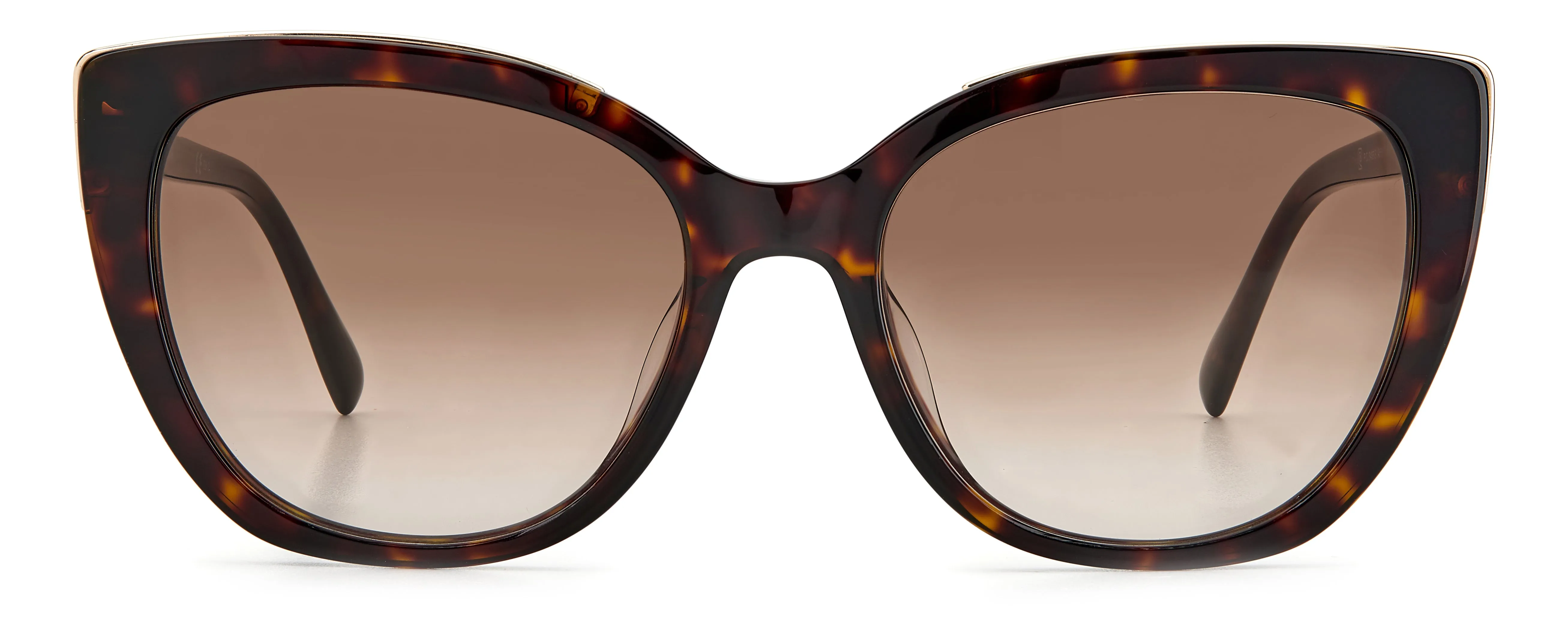 Pierre Cardin P.C. 8498/S 086/HA Occhiali da sole Acetato Havana scuro Marrone Cat Eye Sfumato - immagine 2