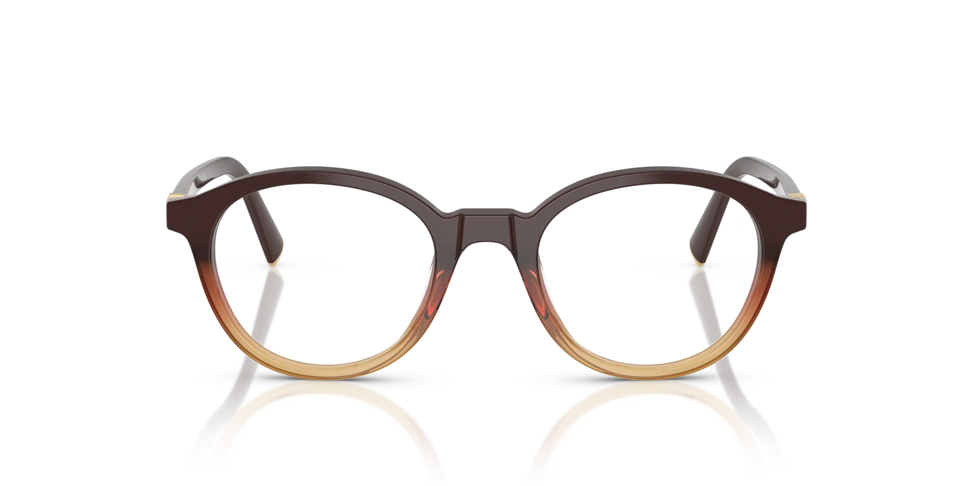 Miu Miu MU 02WV 24C1O1 Montature da vista Acetato Marrone Rotonda Normale - immagine 3