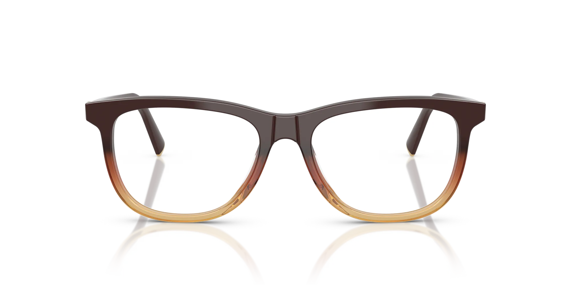 Miu Miu MU 01WV 24C1O1 Montature da vista Acetato Marrone Pantos Normale - immagine 3