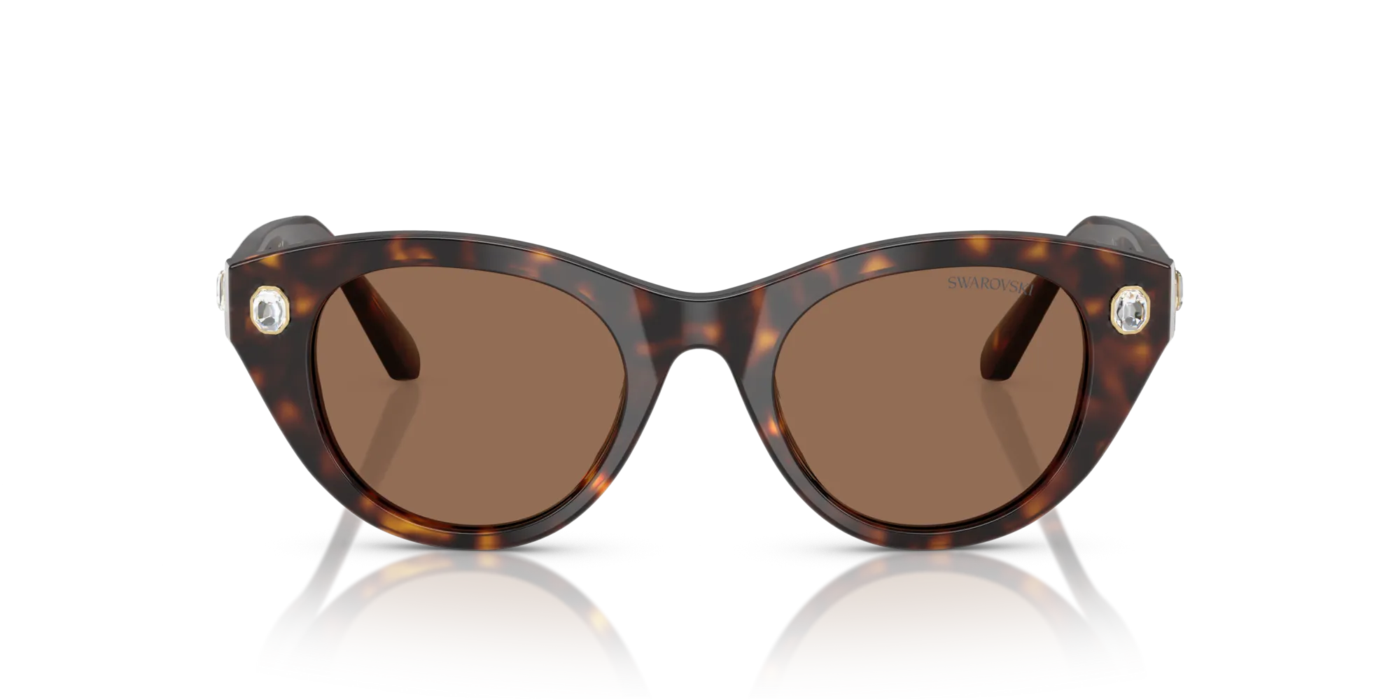 Swarovski SK6025 100273 Occhiali da sole Acetato Tartaruga Marrone Rotonda Normale - immagine 3