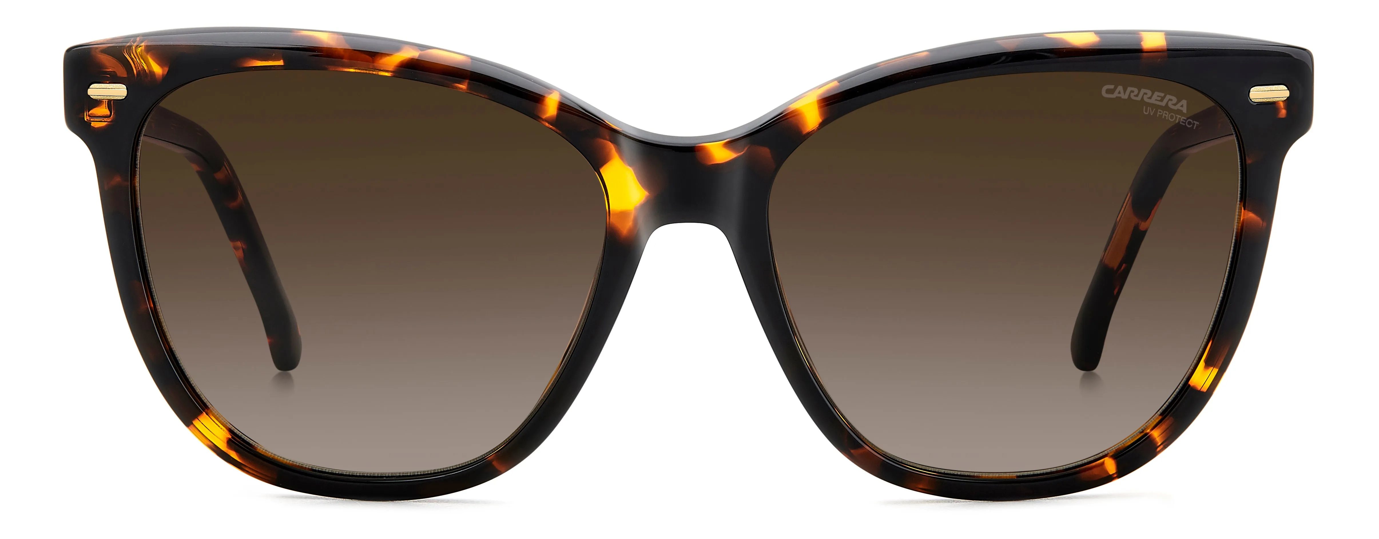 Carrera Carrera CARRERA 3043/S 086/HA Occhiali da sole Marrone Sfumato - immagine 2