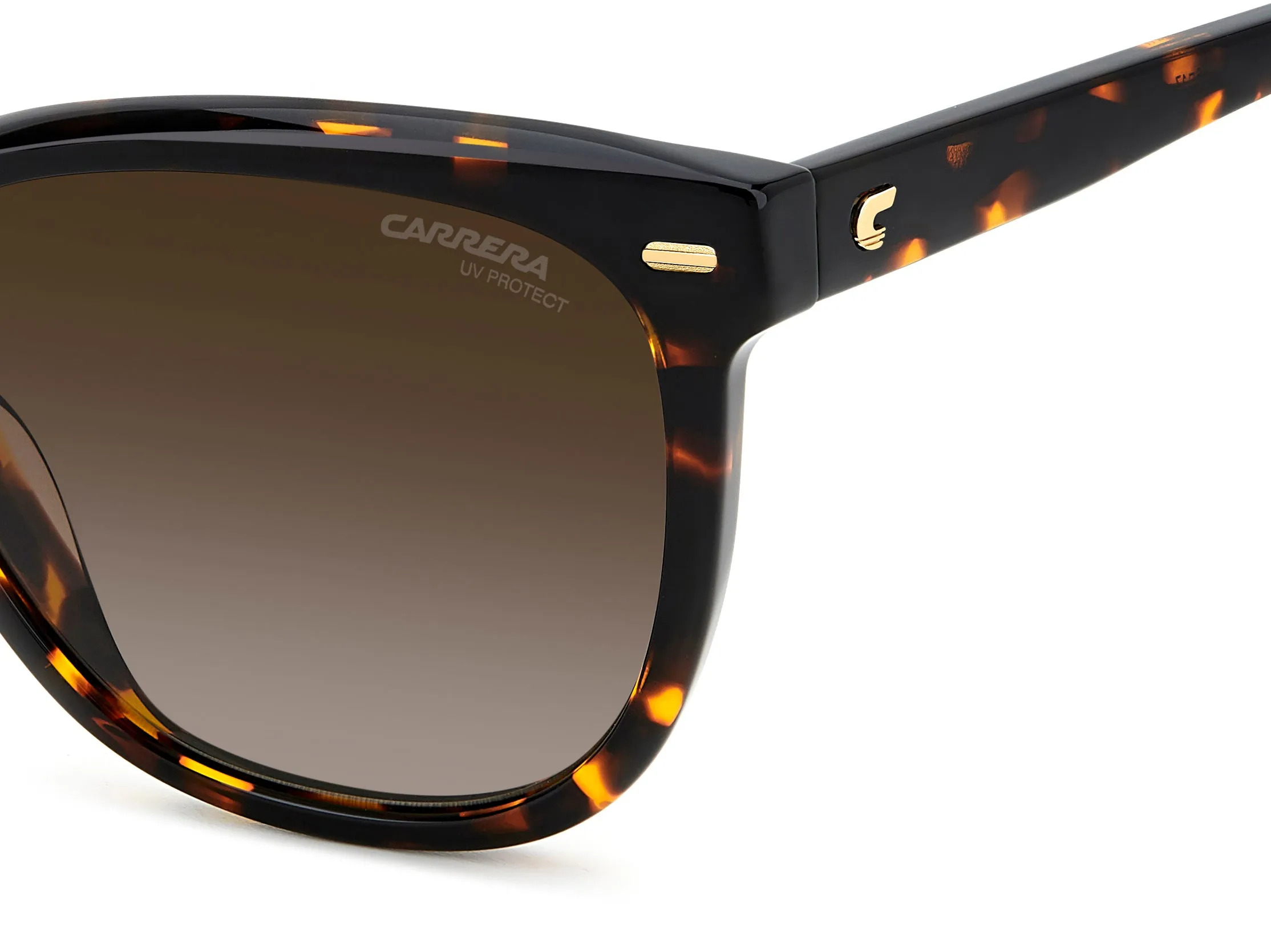 Carrera Carrera CARRERA 3043/S 086/HA Occhiali da sole Marrone Sfumato - immagine 4