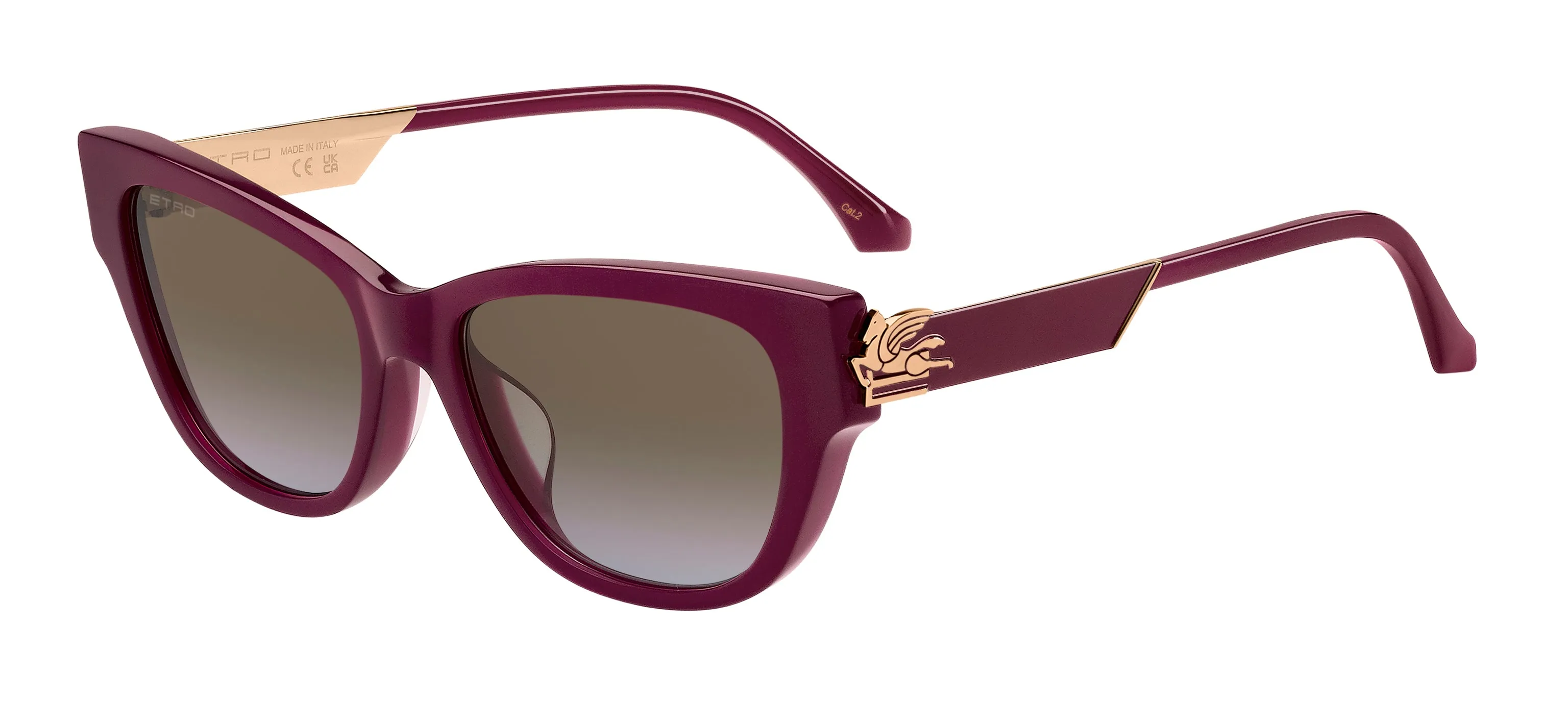 ETRO ETRO ETRO 0063/F/S LHF/67 Occhiali da sole Marrone Sfumato - immagine 1