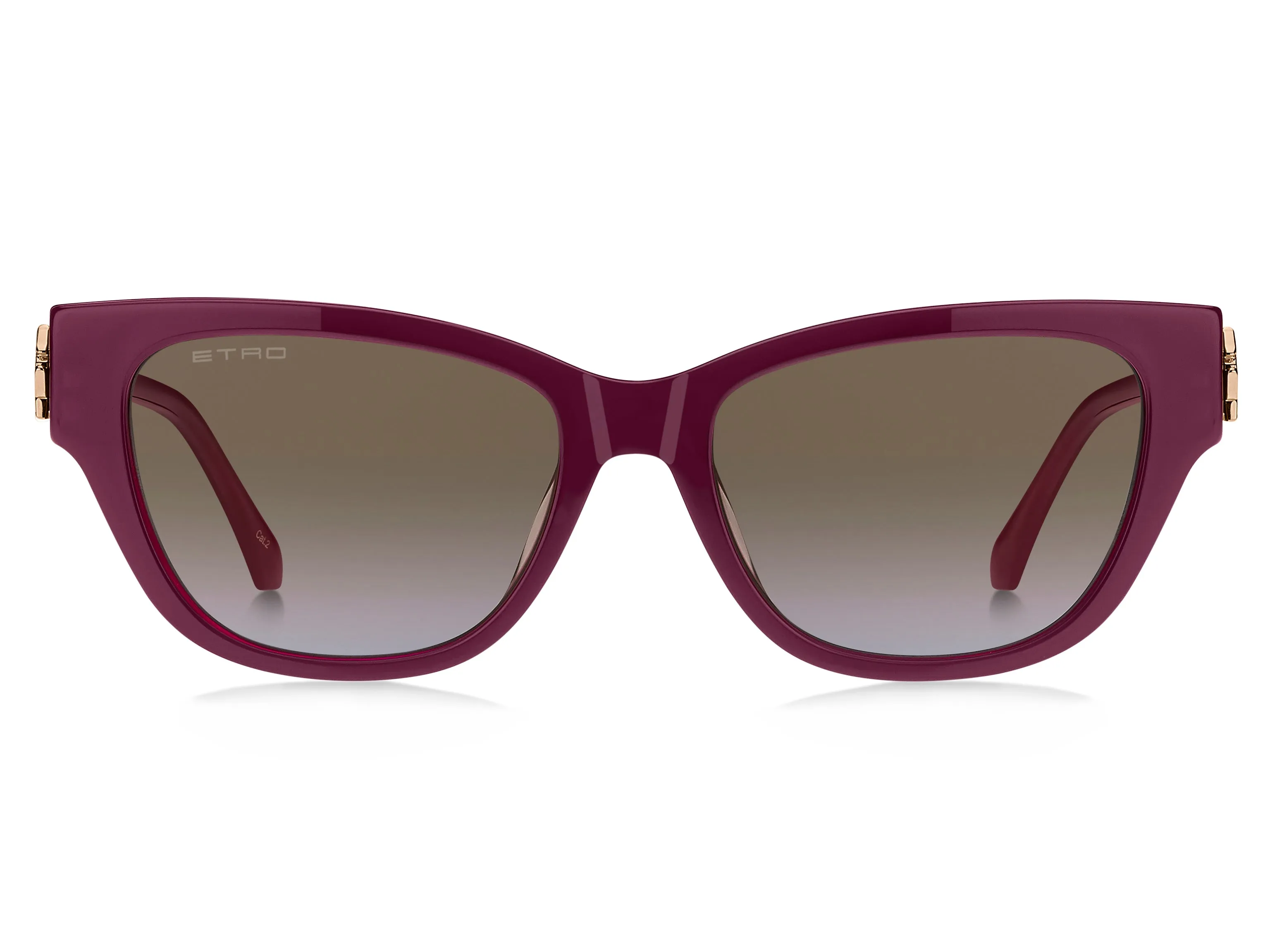ETRO ETRO ETRO 0063/F/S LHF/67 Occhiali da sole Marrone Sfumato - immagine 2