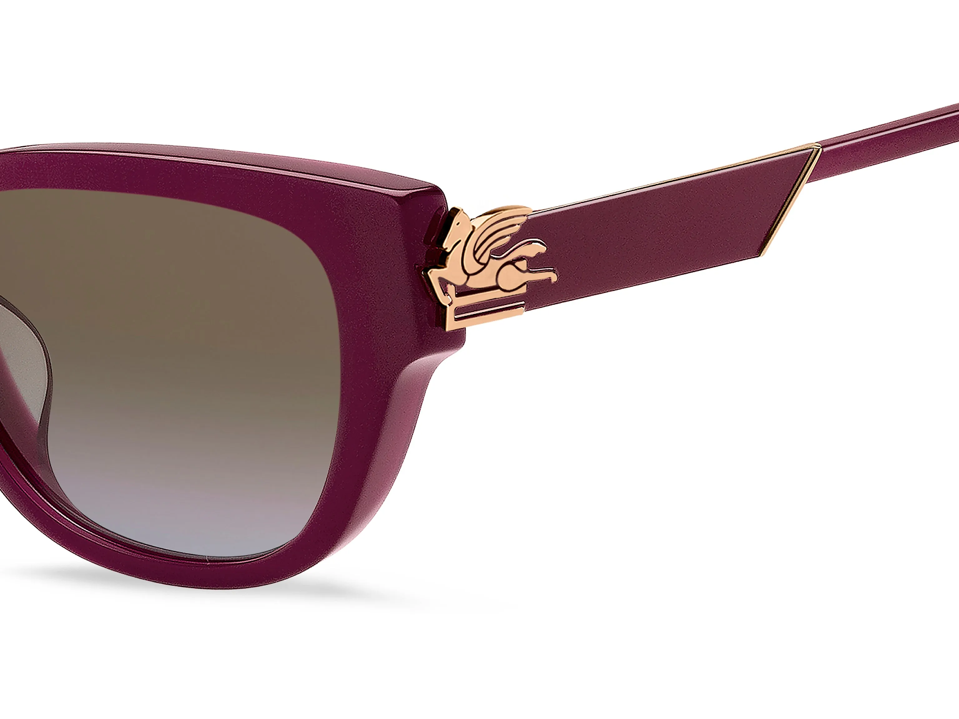 ETRO ETRO ETRO 0063/F/S LHF/67 Occhiali da sole Marrone Sfumato - immagine 3