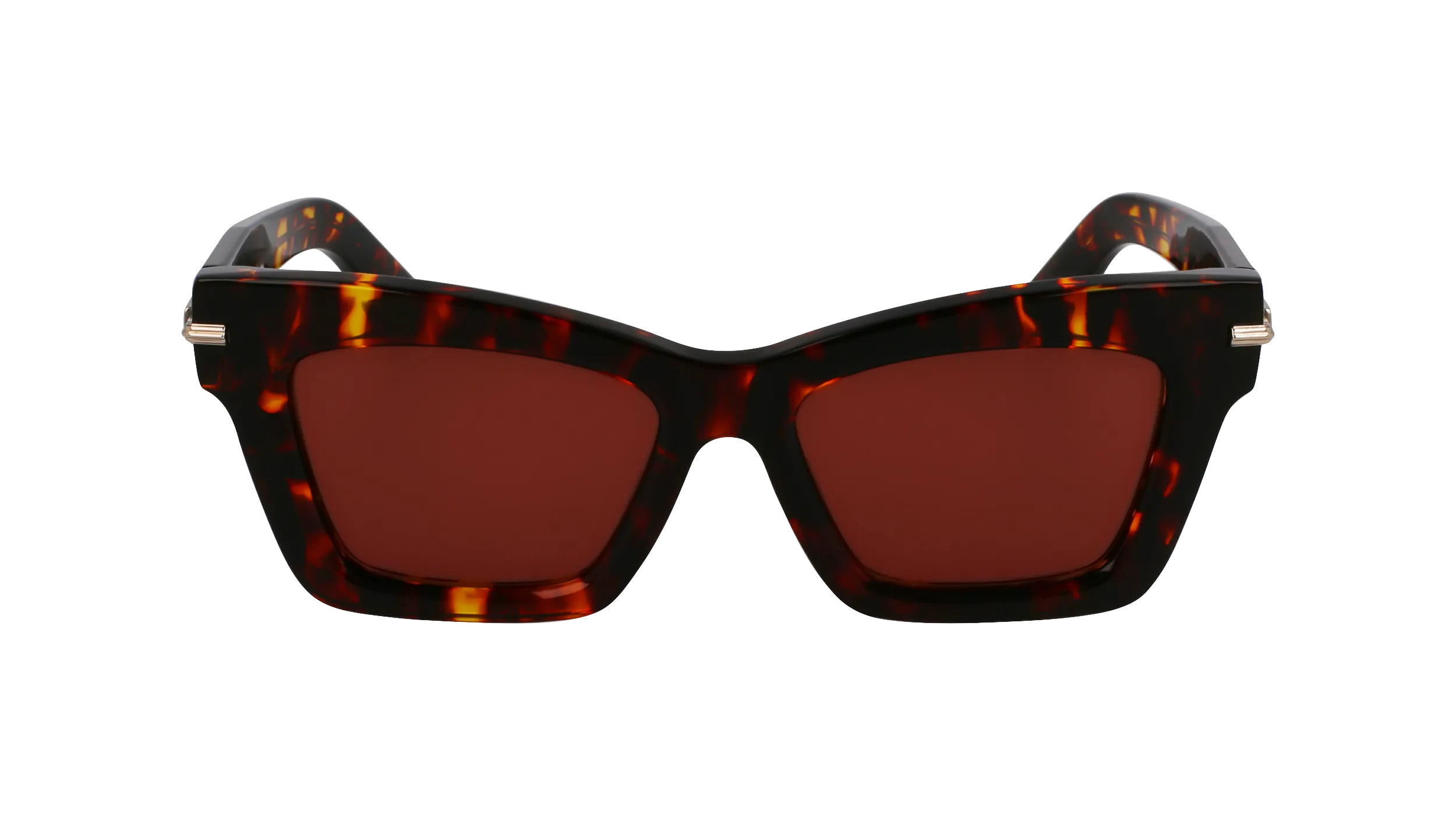 Ferragamo SF2031S 242 Occhiali da sole Acetato Havana Squadrata Normale - immagine 2