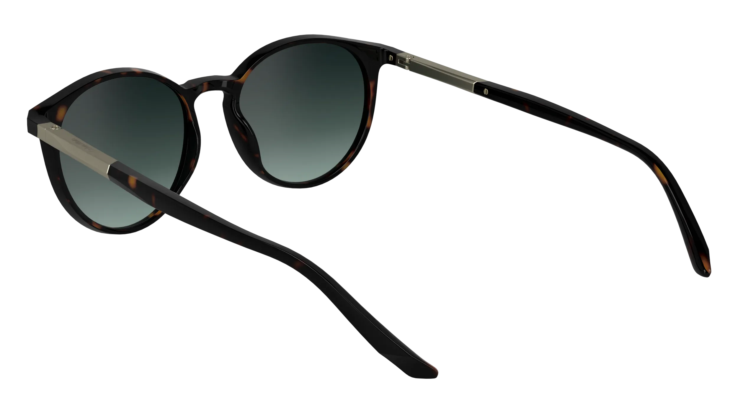 Calvin Klein CK24539S 235 Occhiali da sole Bio-iniettato Havana Rotonda Normale Sfumato - immagine 3