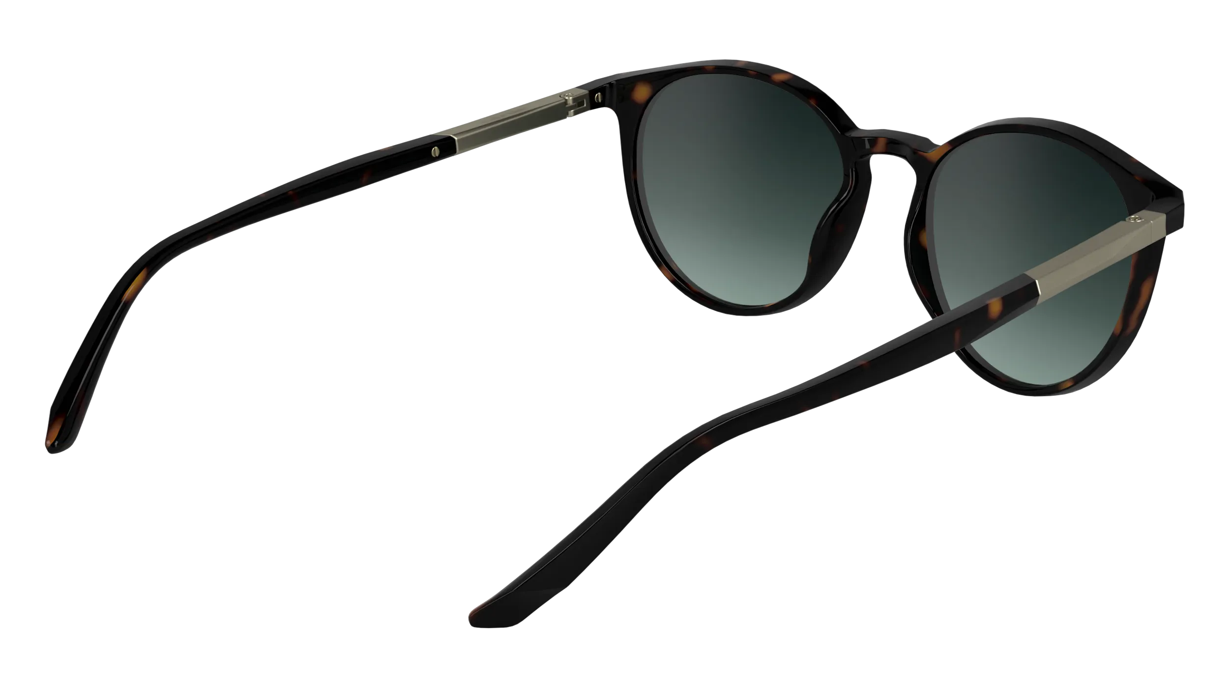 Calvin Klein CK24539S 235 Occhiali da sole Bio-iniettato Havana Rotonda Normale Sfumato - immagine 4