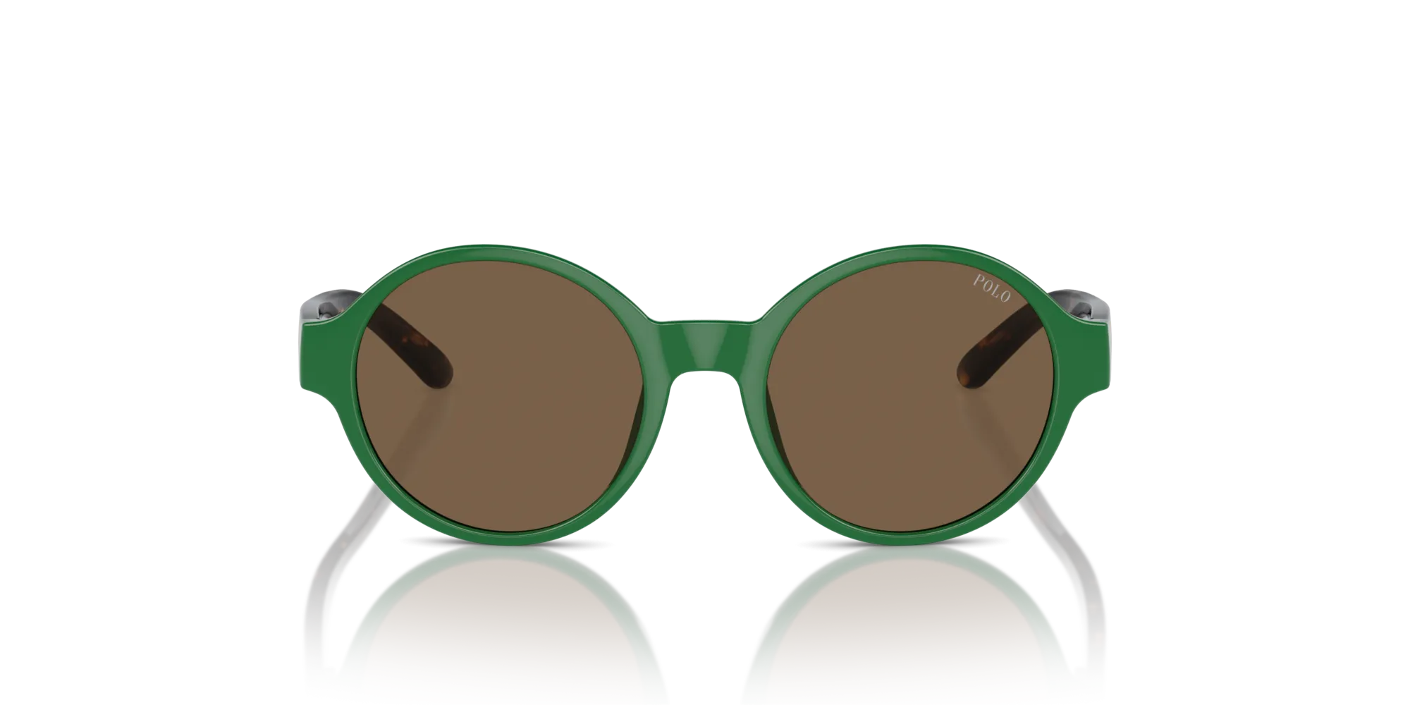 Polo Ralph Lauren PP9508U 619273 Occhiali da sole Iniettato Verde Marrone Rotonda Normale - immagine 3