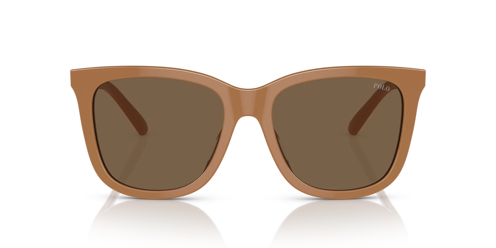 Polo Ralph Lauren PH4201U 619673 Occhiali da sole Acetato Marrone Marrone Squadrata Normale - immagine 3