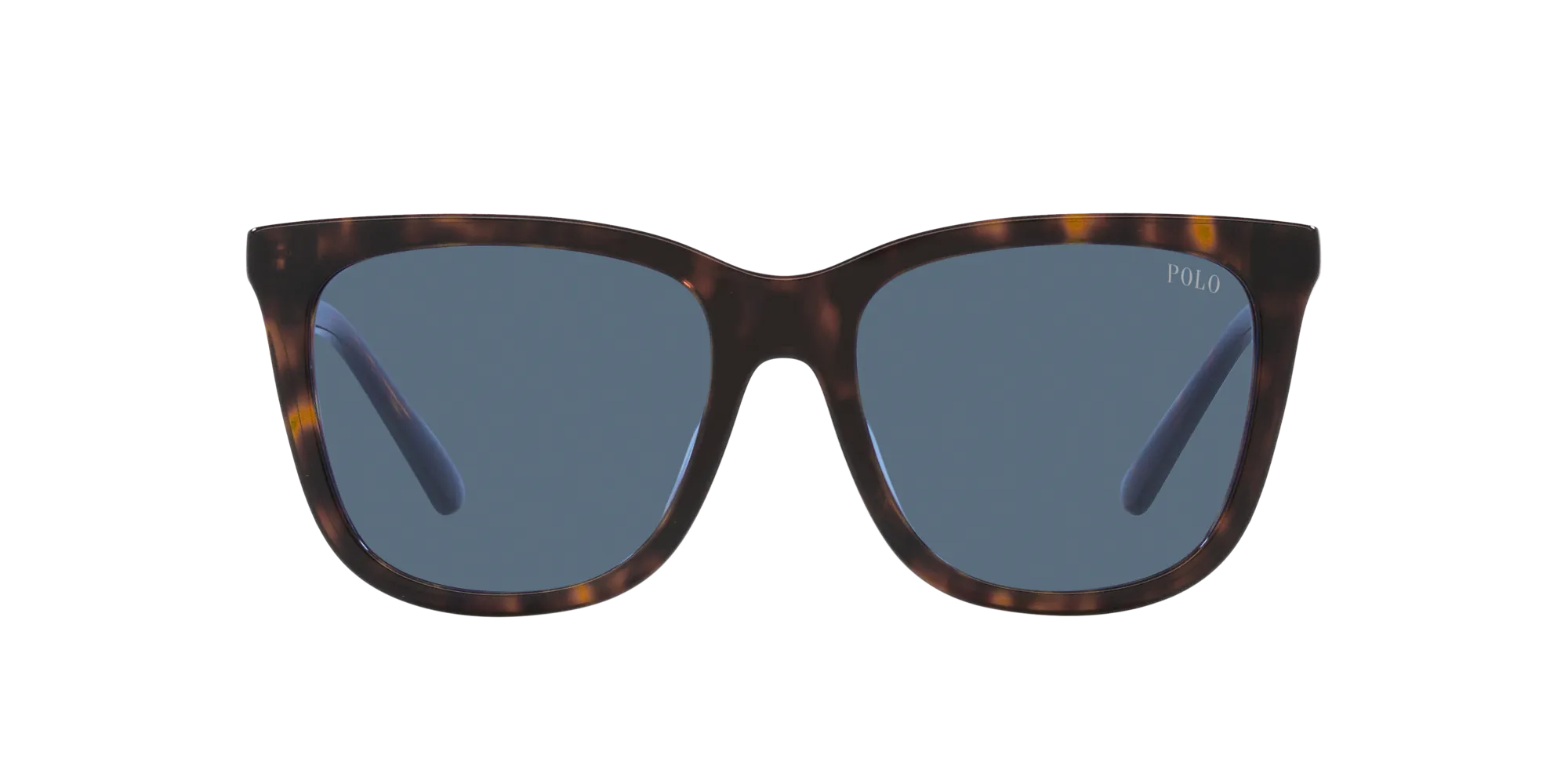 Polo Ralph Lauren PH4201U 500380 Occhiali da sole Acetato Tartaruga Blu Squadrata Normale - immagine 2