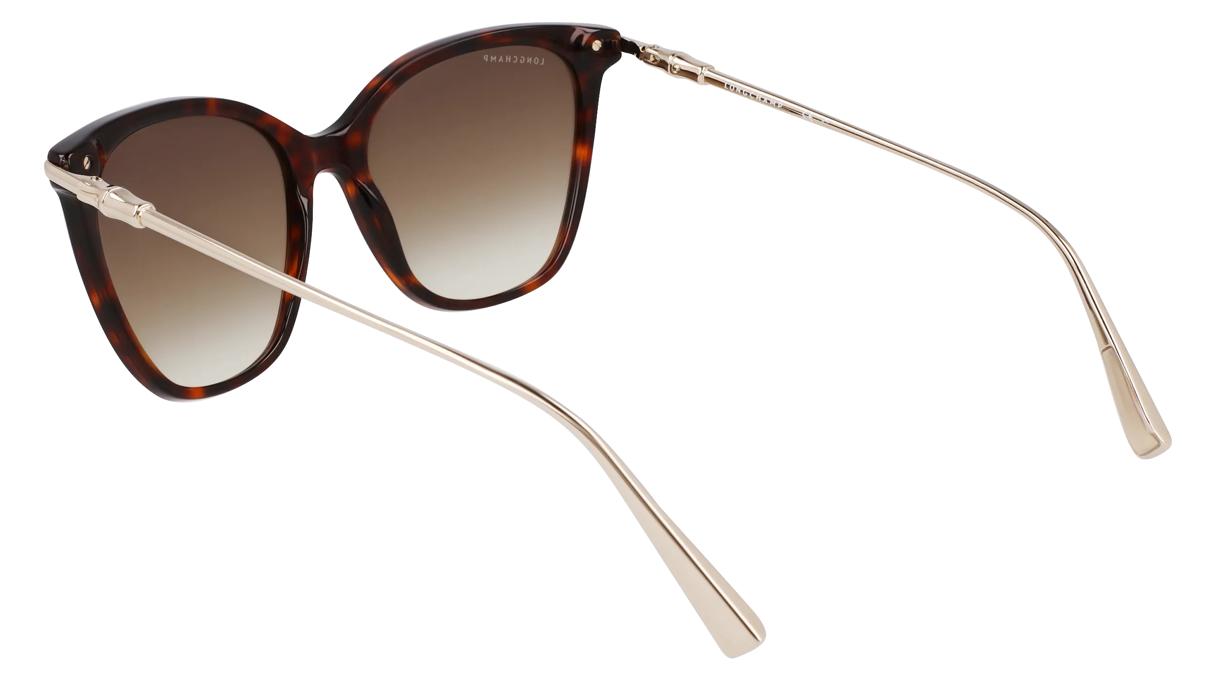 LONGCHAMP LO757S 242 Occhiali da sole Acetato Havana Squadrata Normale Normale - immagine 3