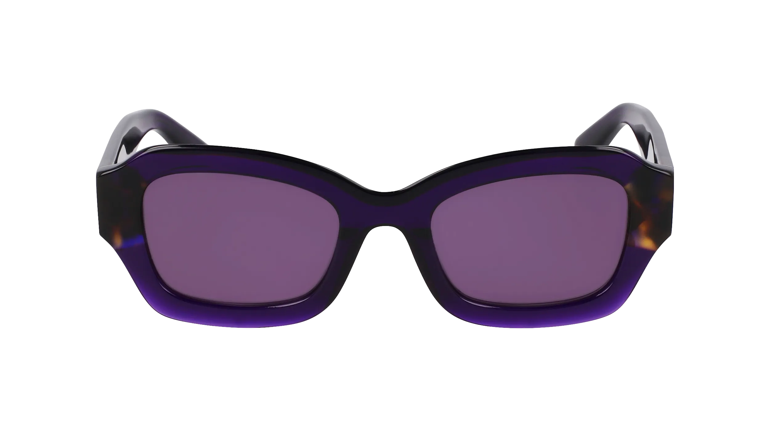 LONGCHAMP LO749S 505 Occhiali da sole Acetato Viola Cat Eye Normale Normale - immagine 2