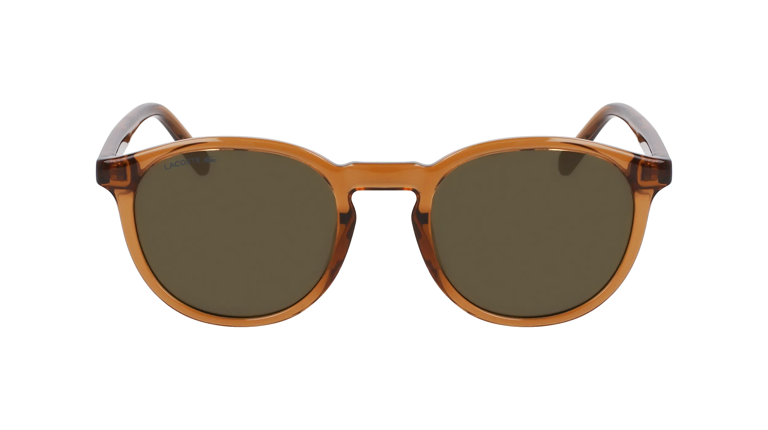 Lacoste L916S 210 Occhiali da sole Iniettato Marrone Marrone Rotonda Normale Fotocromatiche - immagine 2