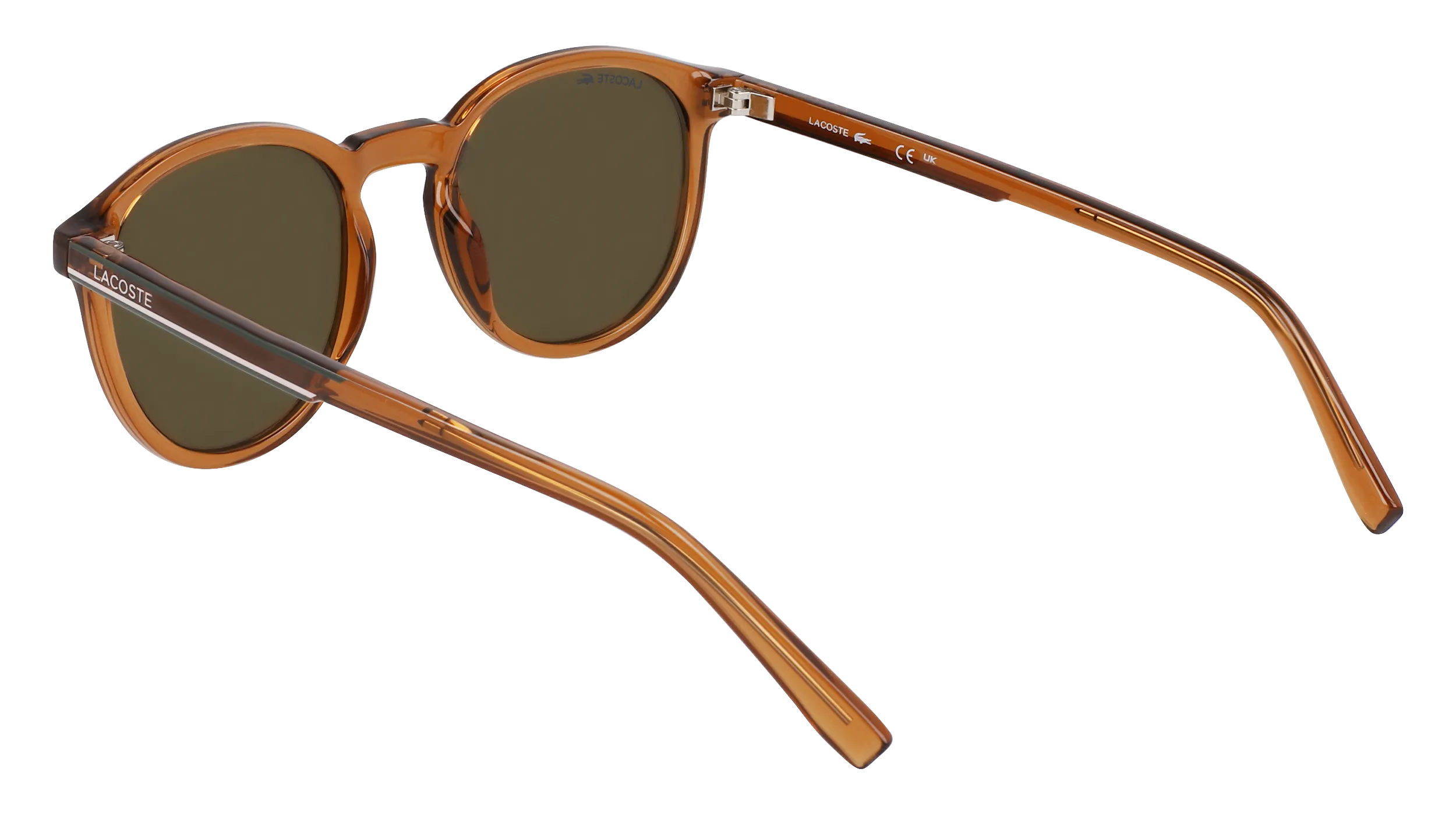 Lacoste L916S 210 Occhiali da sole Iniettato Marrone Marrone Rotonda Normale Fotocromatiche - immagine 3
