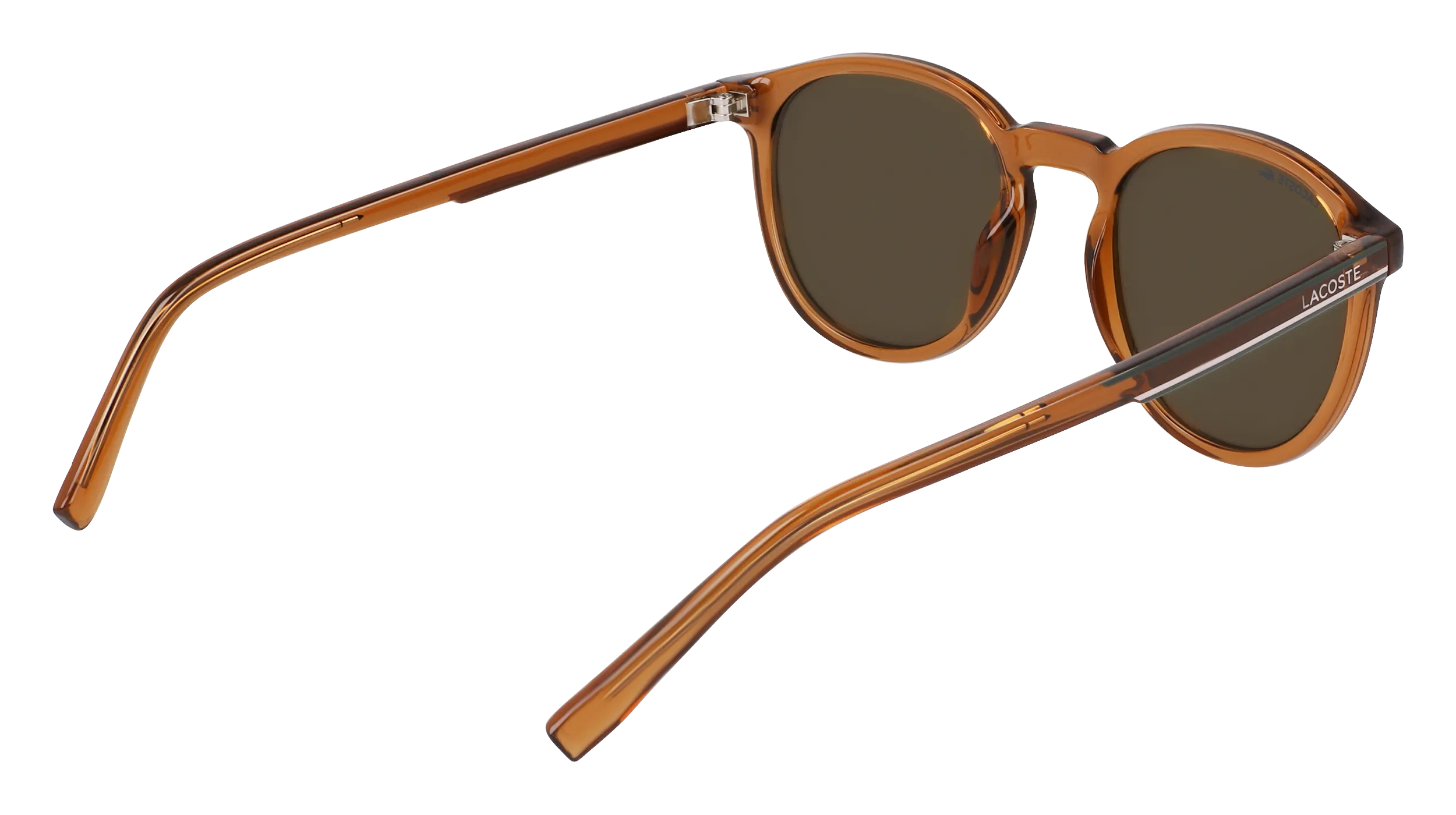 Lacoste L916S 210 Occhiali da sole Iniettato Marrone Marrone Rotonda Normale Fotocromatiche - immagine 4