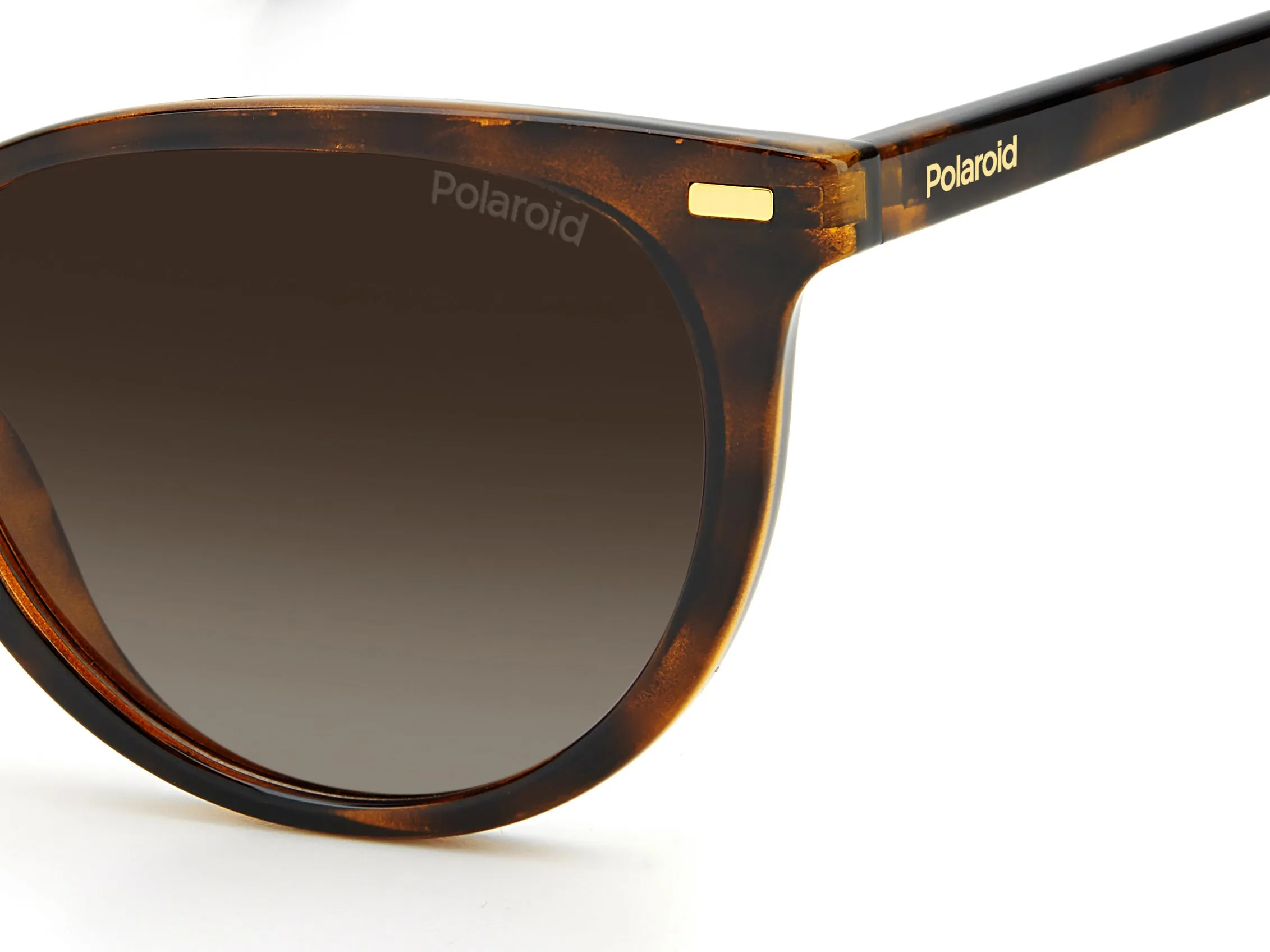 Polaroid PLD 4107/S 086/LA Occhiali da sole Plastica Havana Marrone Cat Eye Polarizzata Sfumato - immagine 4