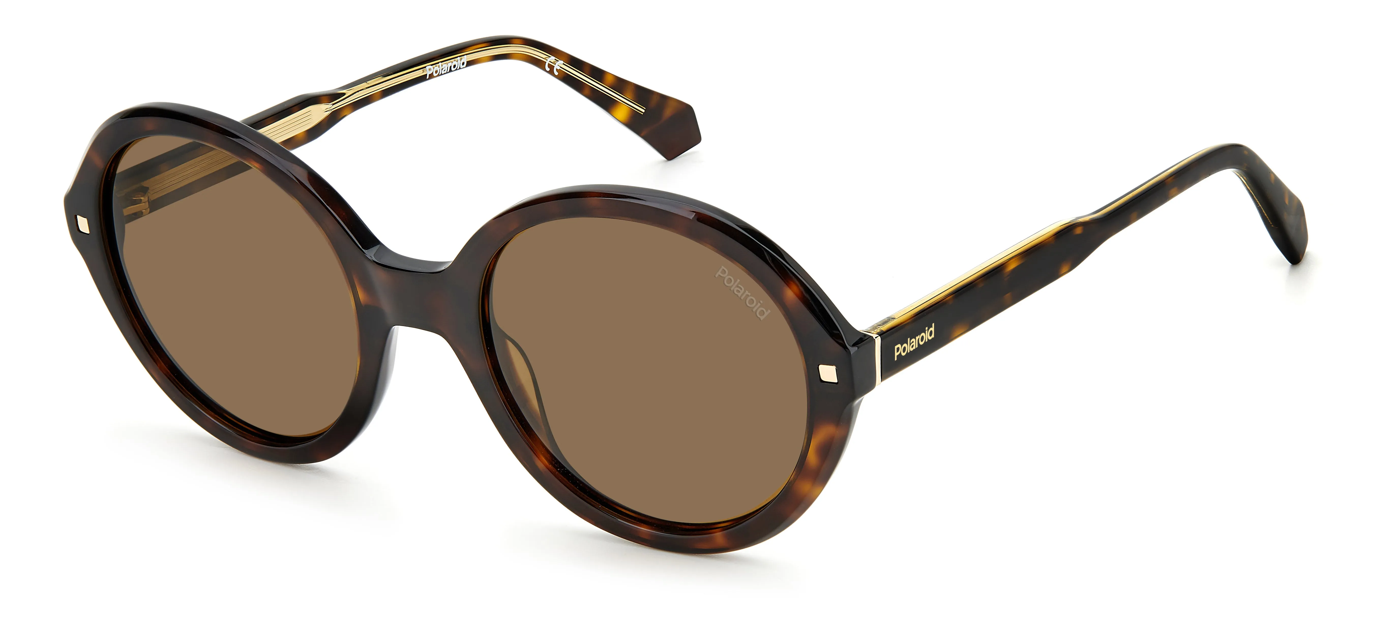 Polaroid PLD 4114/S/X 086/SP Occhiali da sole Acetato Havana Rame Rotonda Polarizzata - immagine 1