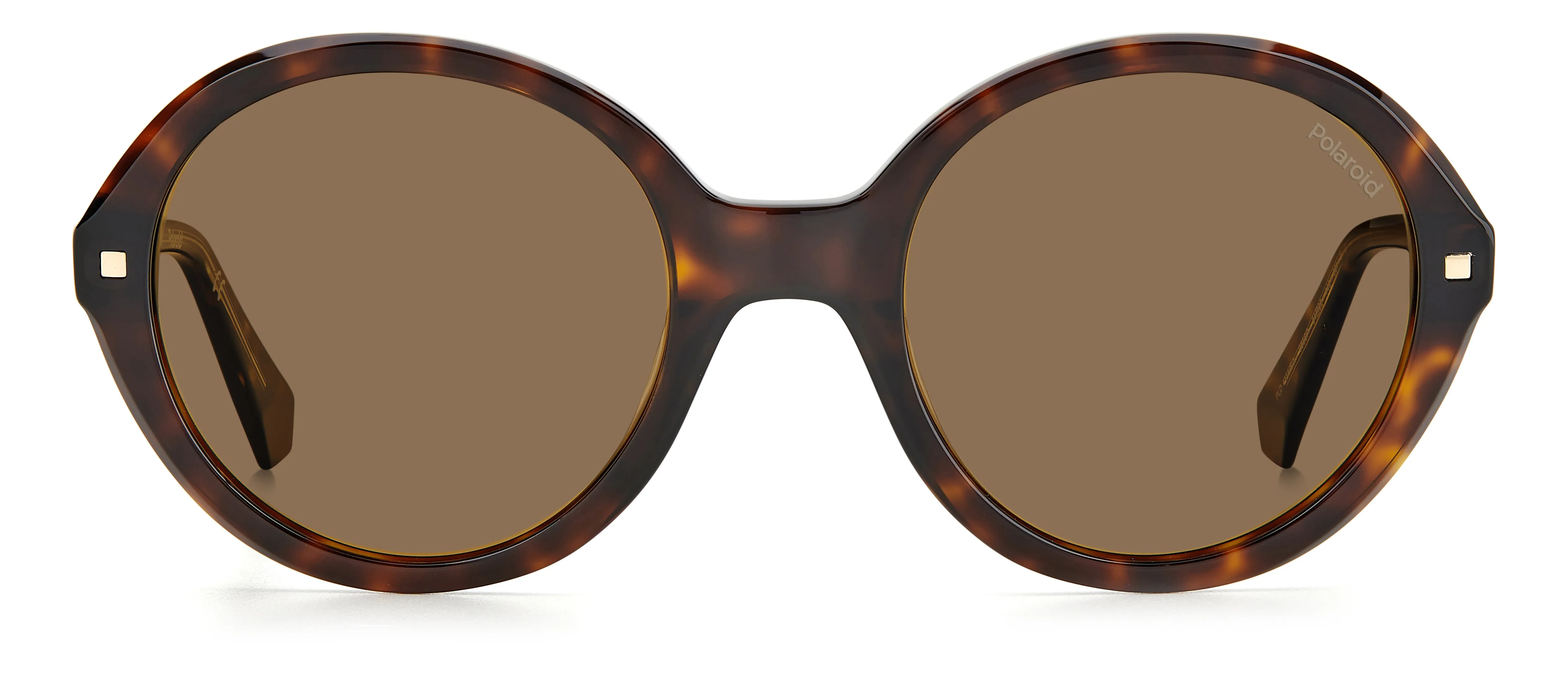 Polaroid PLD 4114/S/X 086/SP Occhiali da sole Acetato Havana Rame Rotonda Polarizzata - immagine 2