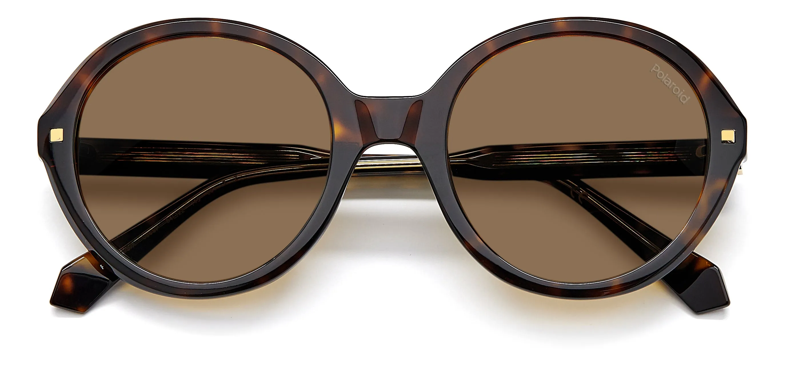 Polaroid PLD 4114/S/X 086/SP Occhiali da sole Acetato Havana Rame Rotonda Polarizzata - immagine 3
