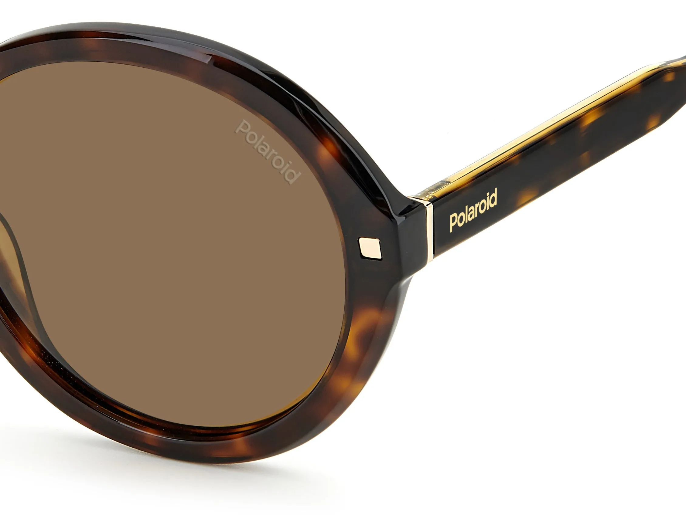 Polaroid PLD 4114/S/X 086/SP Occhiali da sole Acetato Havana Rame Rotonda Polarizzata - immagine 4