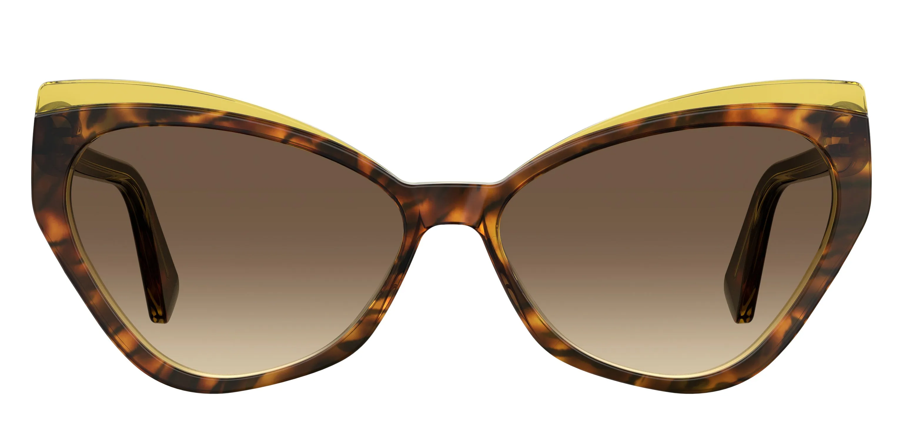 Moschino MOS081/S HJV/HA Occhiali da sole Acetato Havana Marrone Cat Eye Sfumato - immagine 2