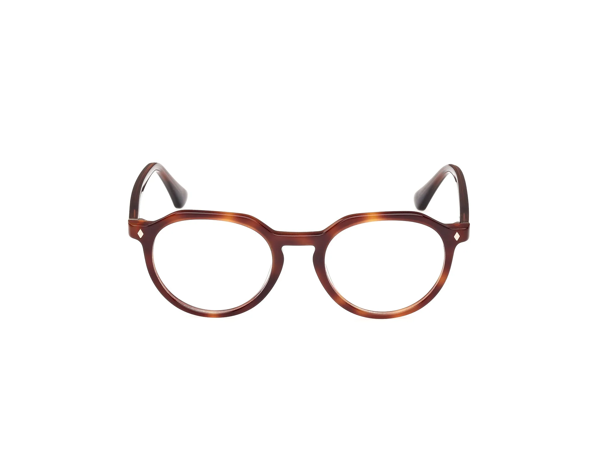 Web WE5427 56 Montature da vista Acetato Havana Rotonda Normale - immagine 2