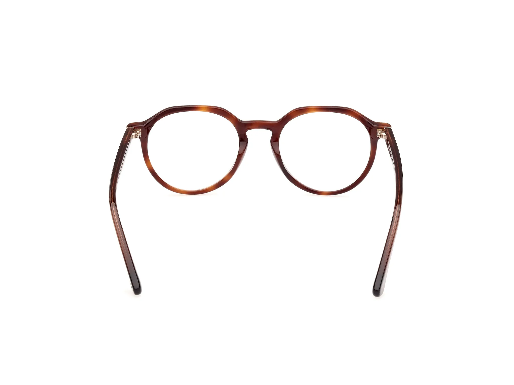 Web WE5427 56 Montature da vista Acetato Havana Rotonda Normale - immagine 4