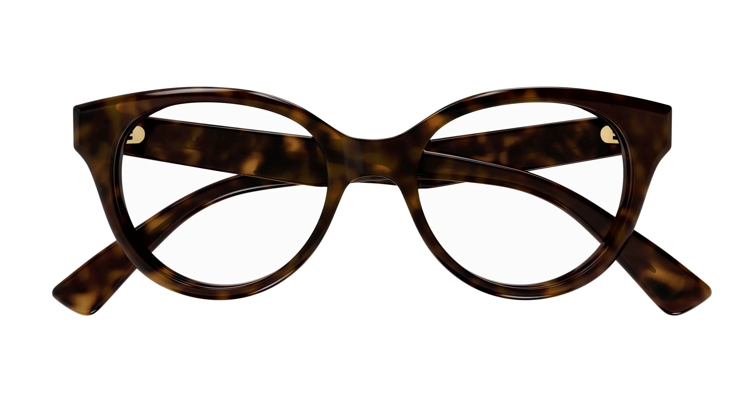 Gucci Donna GG1590O 005 Montature da vista Acetato Havana Trasparente Rotonda - immagine 2