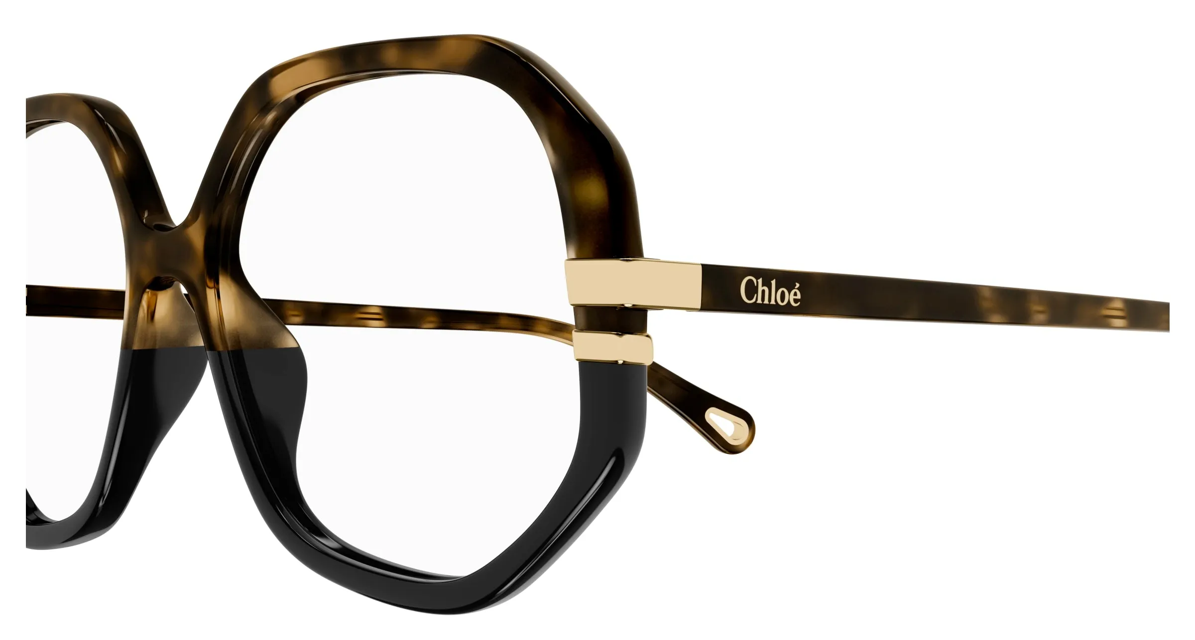 Chloé CH0107O 011 Montature da vista Acetato Havana Trasparente Geometrica - immagine 3