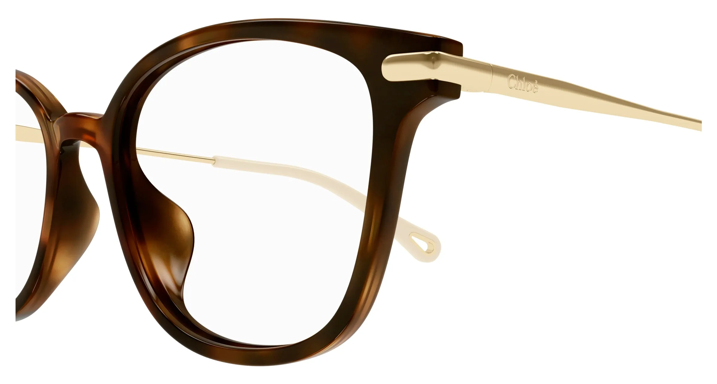Chloé CH0219OA 002 Montature da vista Acetato Havana Cat Eye - immagine 3