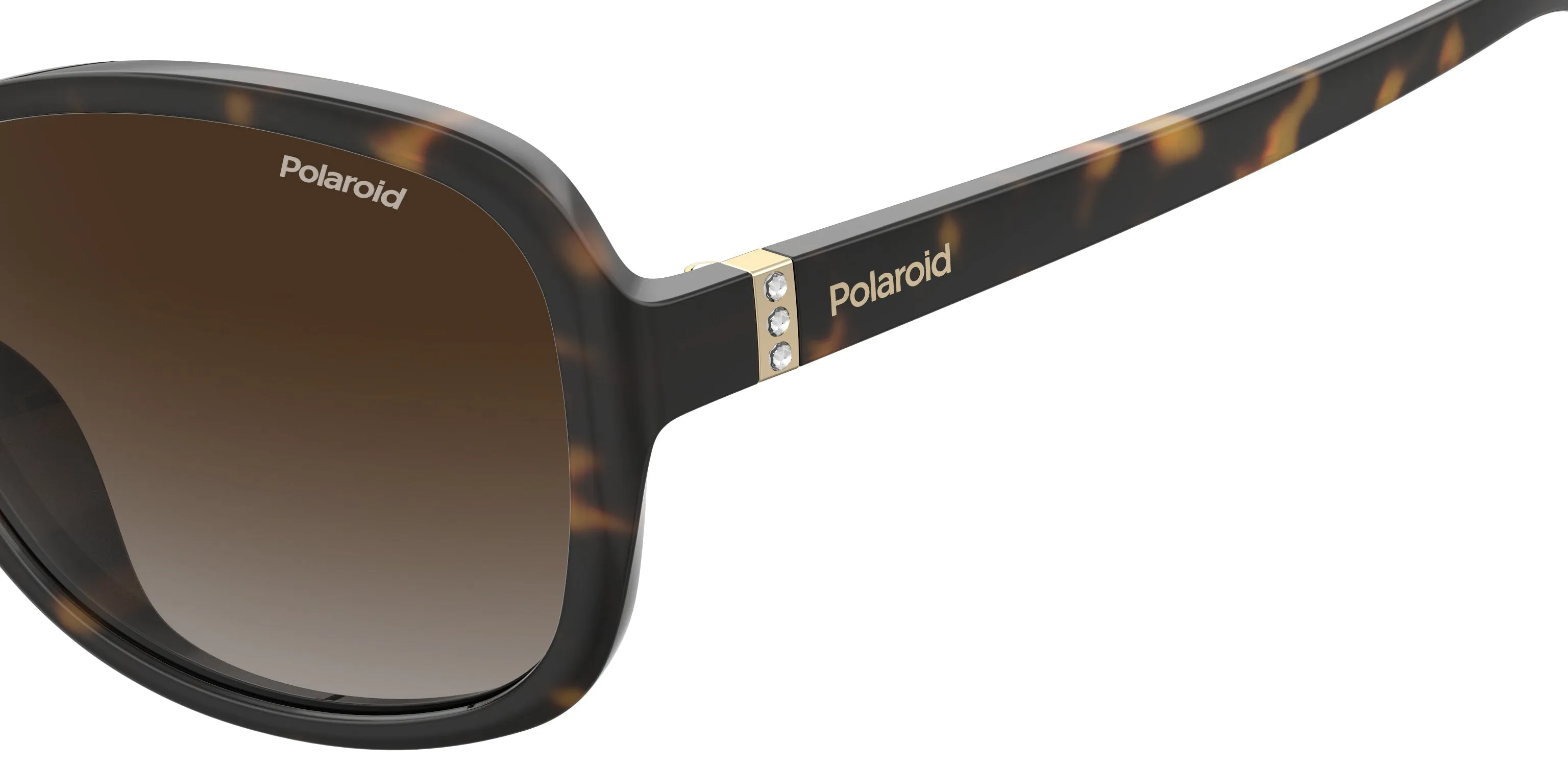 Polaroid PLD 4098/S 086/LA Occhiali da sole Plastica Havana Marrone Rotonda Sfumato - immagine 3