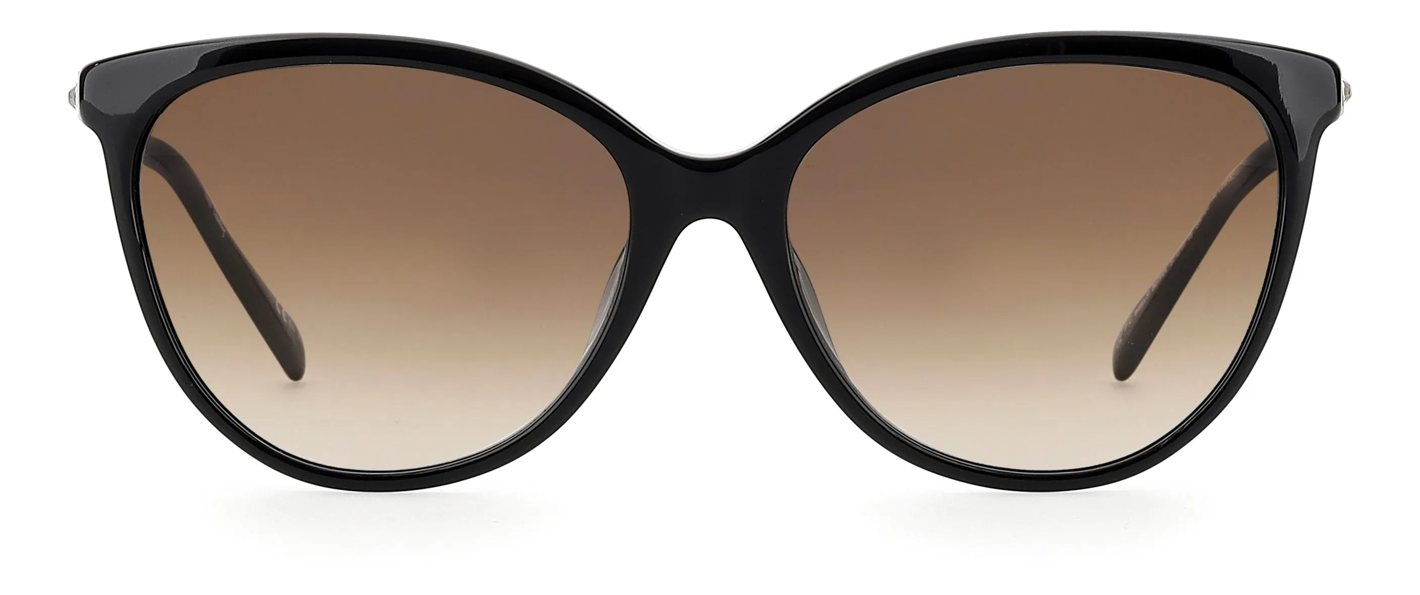 Pierre Cardin P.C. 8485/S 807/HA Occhiali da sole Acetato Nero Marrone Rotonda Normale Sfumato - immagine 2