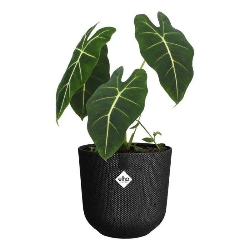 Vaso da interno Elho Jazz Rond Nero Ø26 H24 100% plastica riciclata - immagine 1