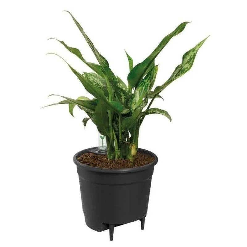 Inserto Autoannaffiante Elho Ø33 cm Nero per Vasi d'Interno - Plastica 100% Riciclata - immagine 1