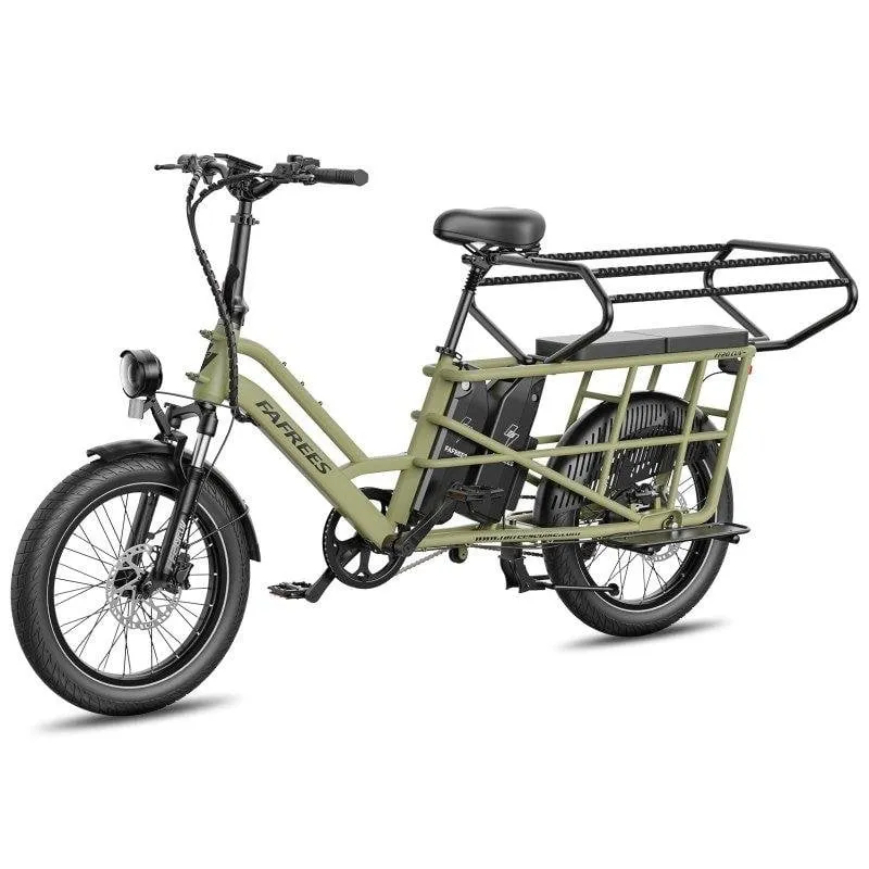Velo elettrico FAFREES FF20 CUV 250W Doppia batteria 48V 15Ah - immagine 1