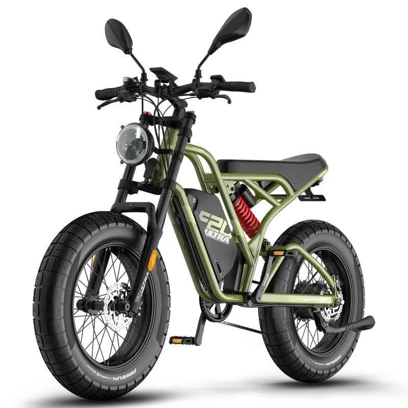 Bicicletta elettrica FAFREES F20 Ultra 750W 48V 25Ah - immagine 1