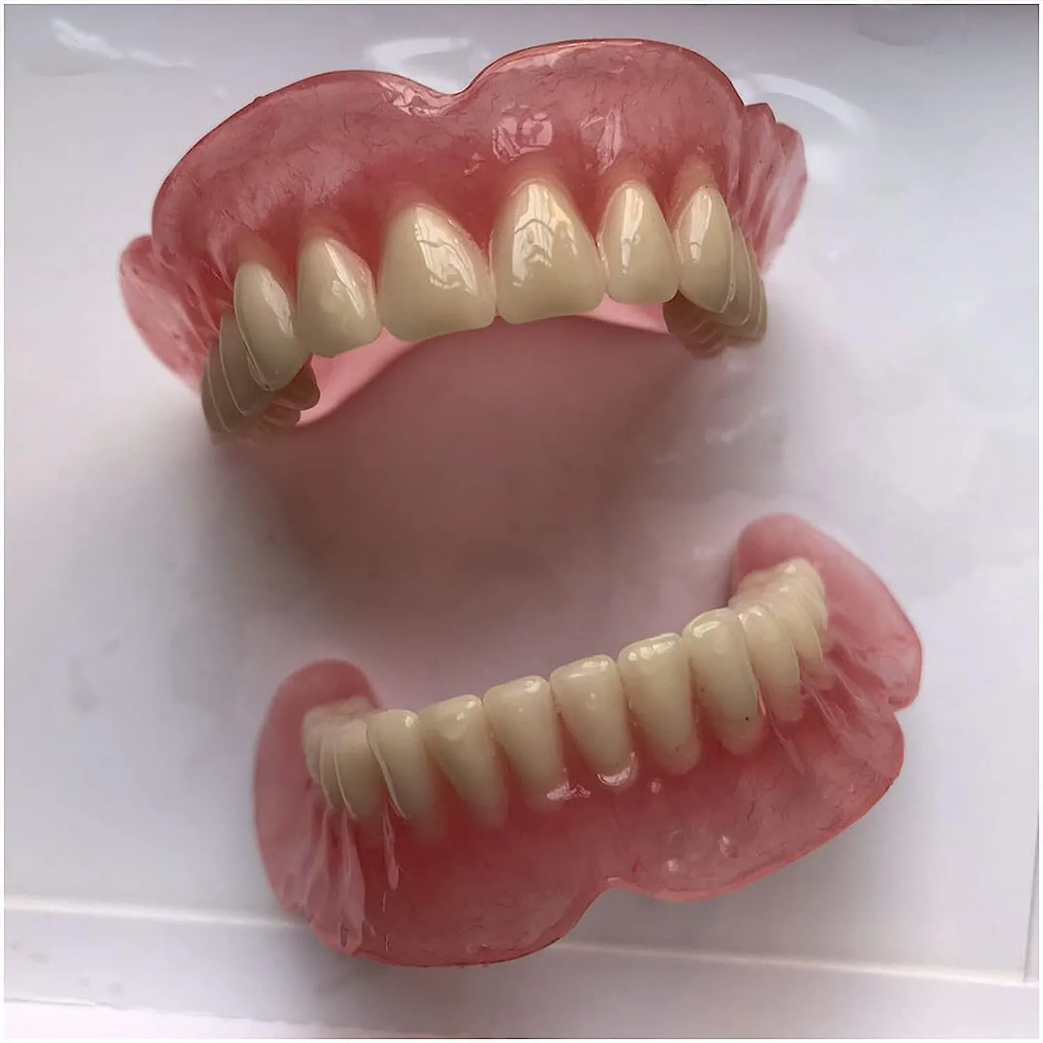 Modello di dentiera Modello di dente della bocca, modelli di denti superiori e denti inferiori, for strumento di studio didattico for dimostrazione del dentista. - immagine 1